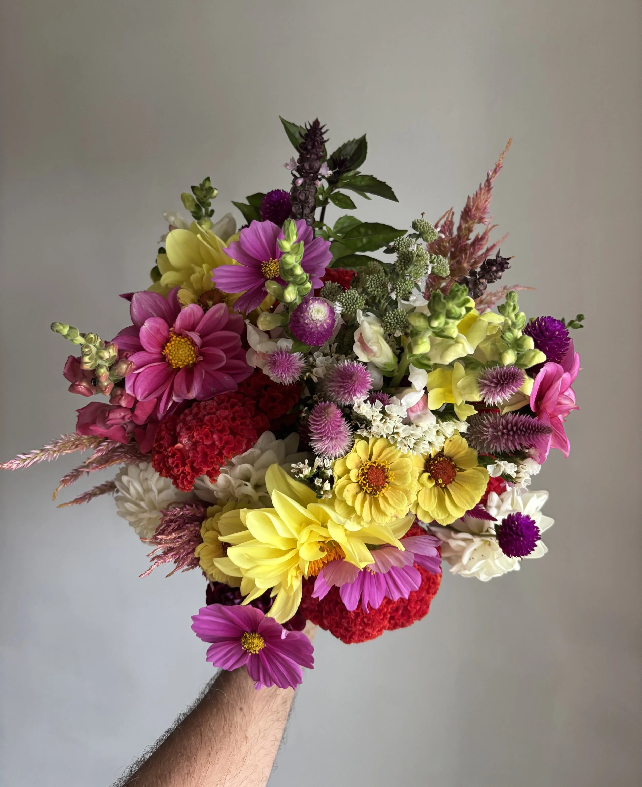 A hand holding a colorful bouquet of mixed flowers including yellow, pink, red, purple, and white blossoms against a plain neutral background.