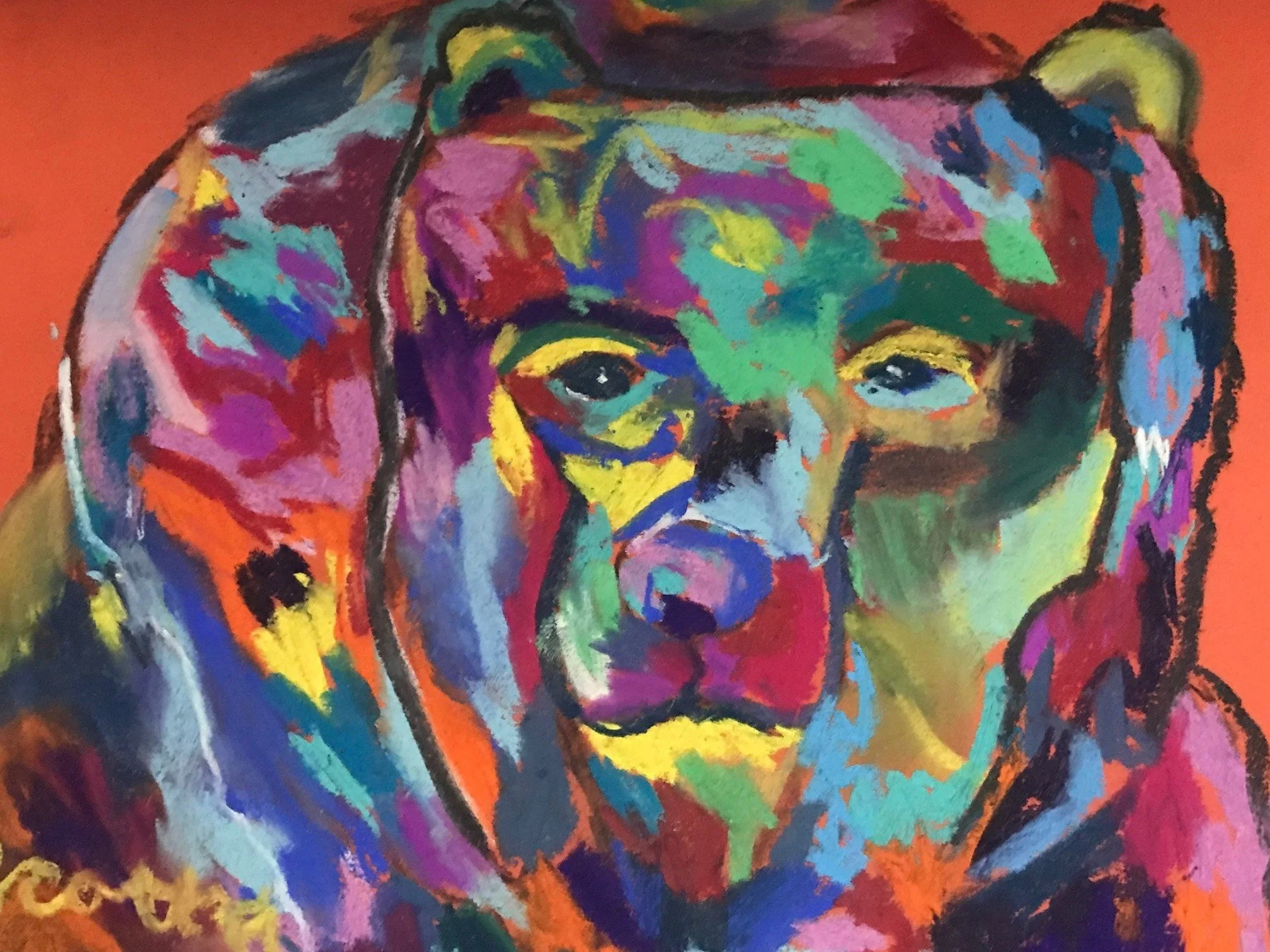 Fauve - Bear