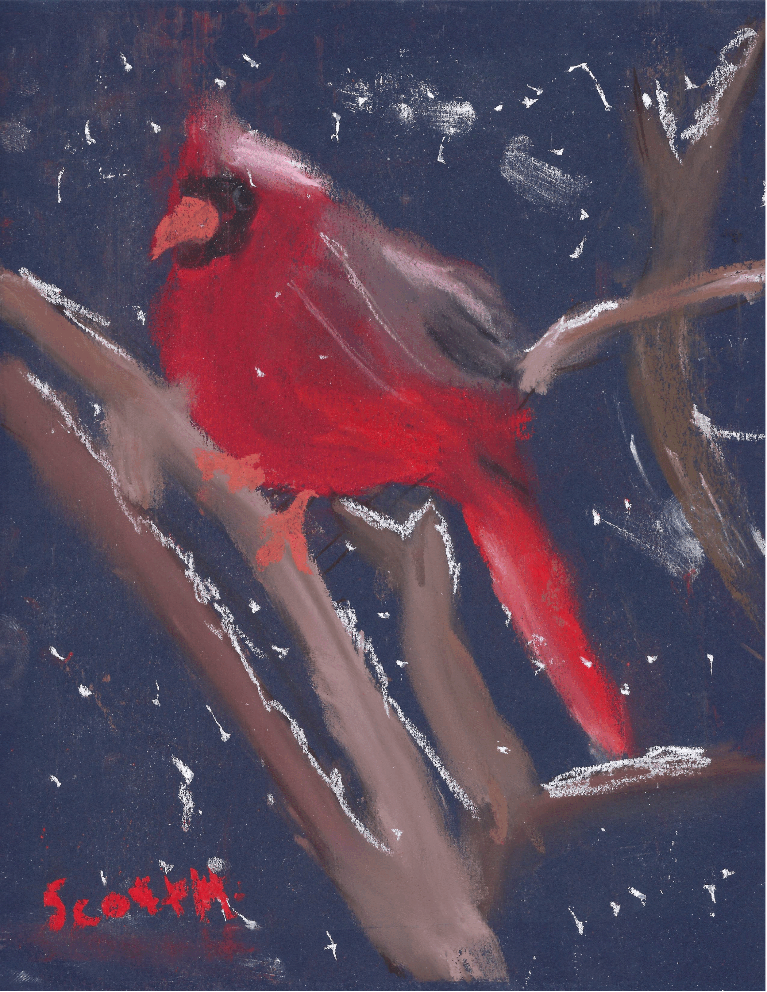 Bird - Winter 3