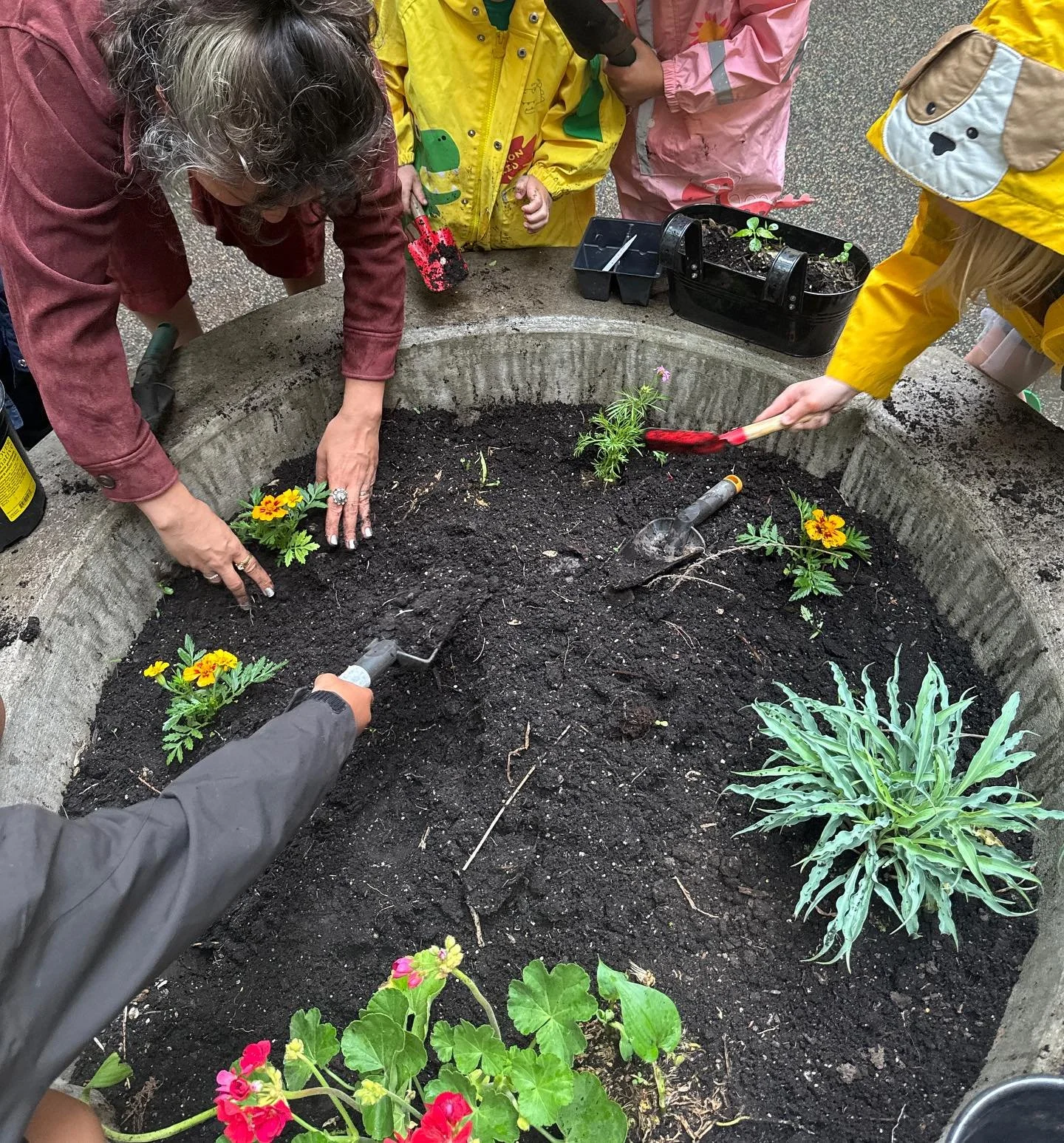 The children (along with parents &amp; teachers!) planted flowers, herbs, and tomatoes from @grownyc in our backyard&hellip;finding some worms along the way! 🌼🌱🍅🪱 We can&rsquo;t wait to take care of our new plants and see how they continue to gro