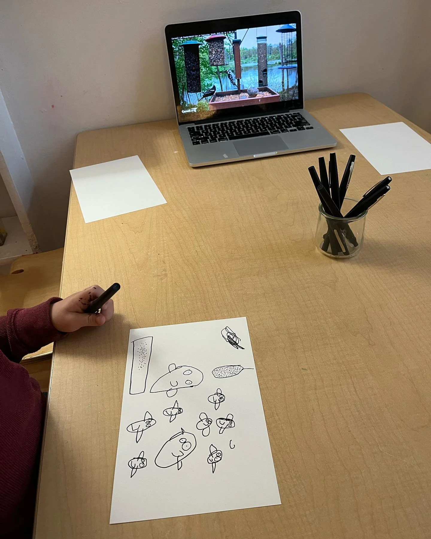 The PreK children used live cams of birds &amp; fish to inspire their drawing and writing🦜🐠

#reggioinspired #nycpreschool #prek #observationaldrawing #finemotorskill #earlywriting