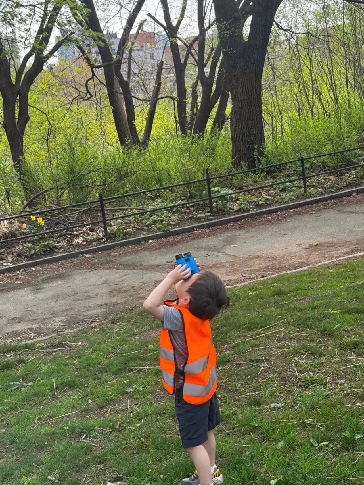 In the coming of spring time, the Threes classroom has observed the changes in nature and arrival of new birds in the parks. 

The children explore their curiosities their through reading bird books and watching birds in the parks with binoculars! 

