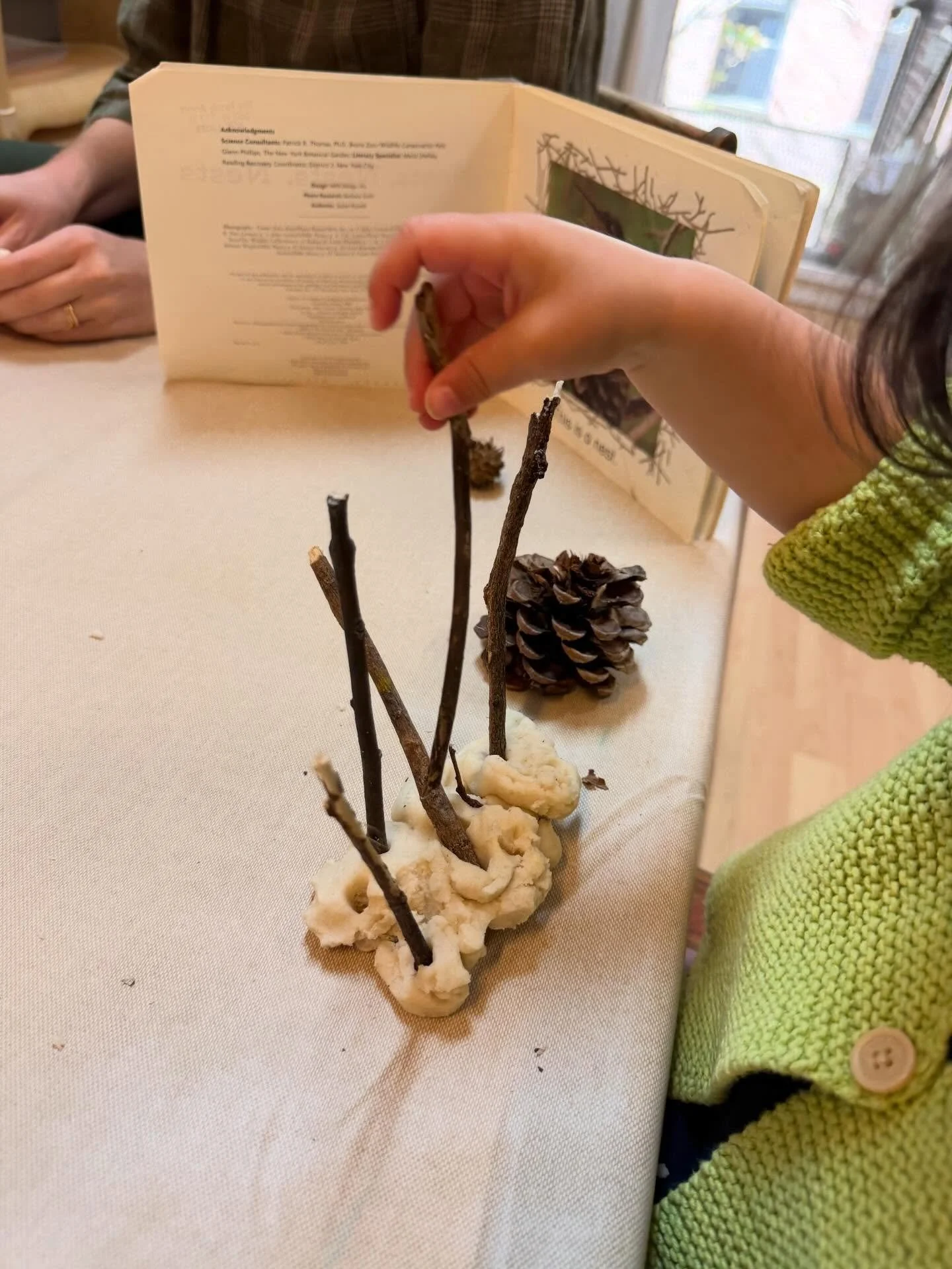 During our outdoor excursions, the children have noticed the birds living in different places throughout the city. 

Using natural materials and homemade play dough, the children create &ldquo;homes&rdquo; for the birds based on their observations! ?