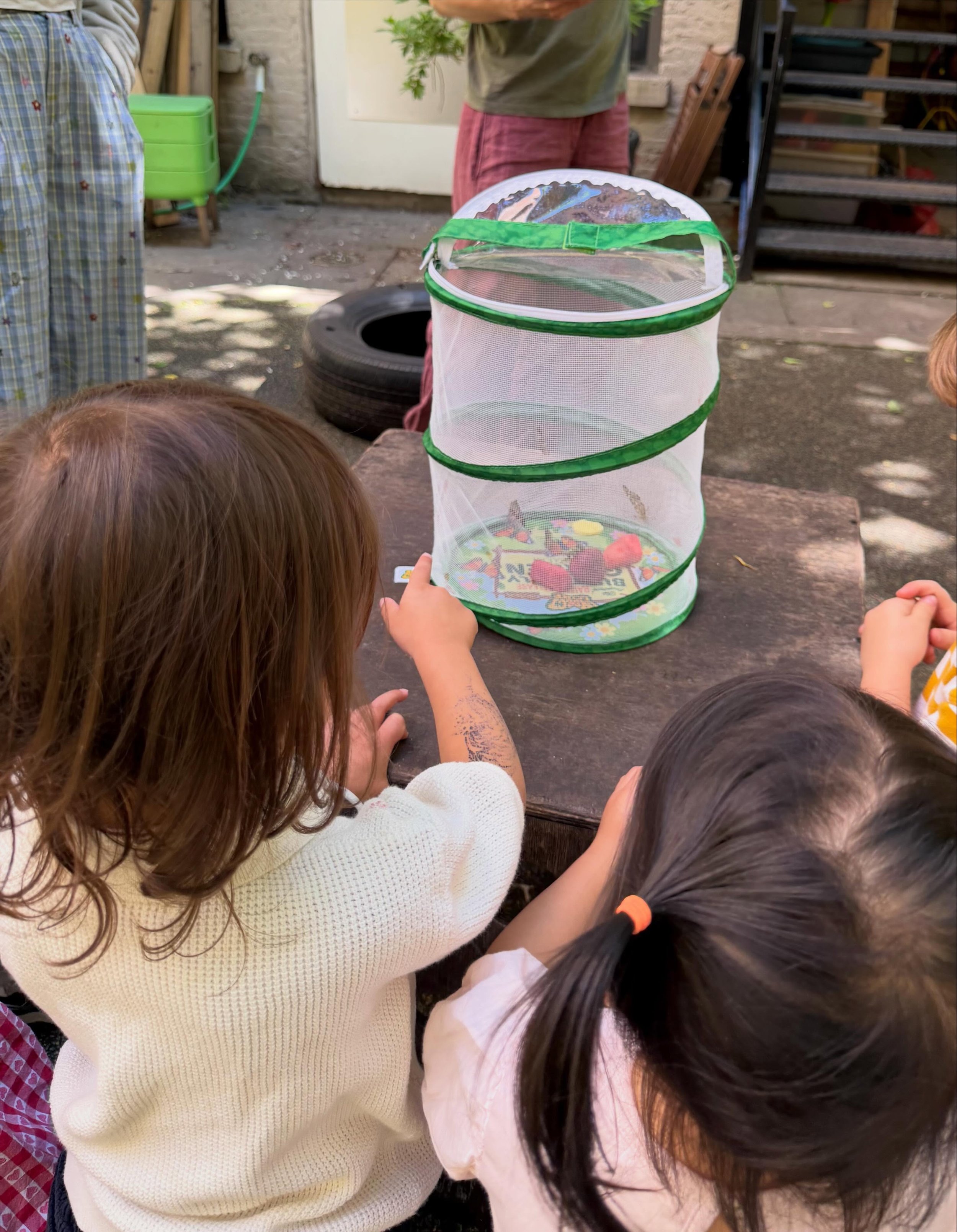 Butterfly exploration! 🦋

The Toddlers cared for some caterpillars visiting the classroom as they waited for them to grow into beautiful butterflies. Expanding on their animal curriculum, the children experienced hands-on learning for creating anima