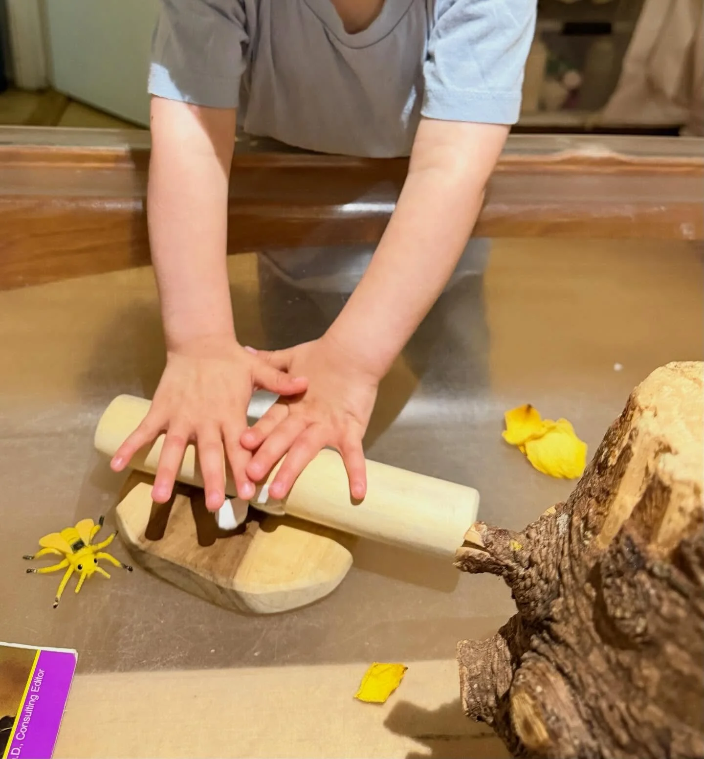 🪵🌼Observing children&rsquo;s play, exploration, and experimentation is an important part of our daily practice. Through observation, we gain insight into the children&rsquo;s thinking, curiosity, and developing skills. 

When presented with tree bl