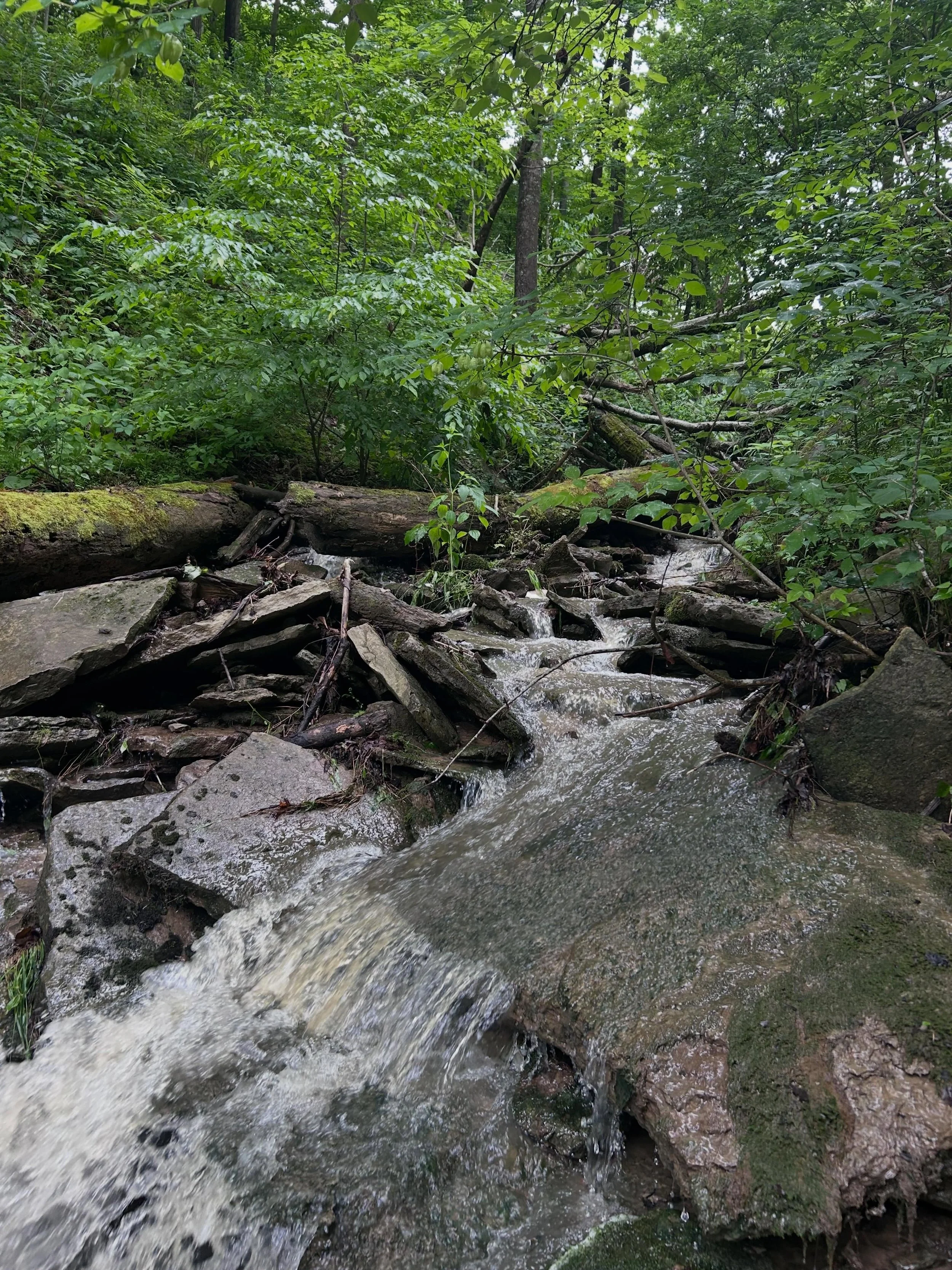 park route 2.jpg
