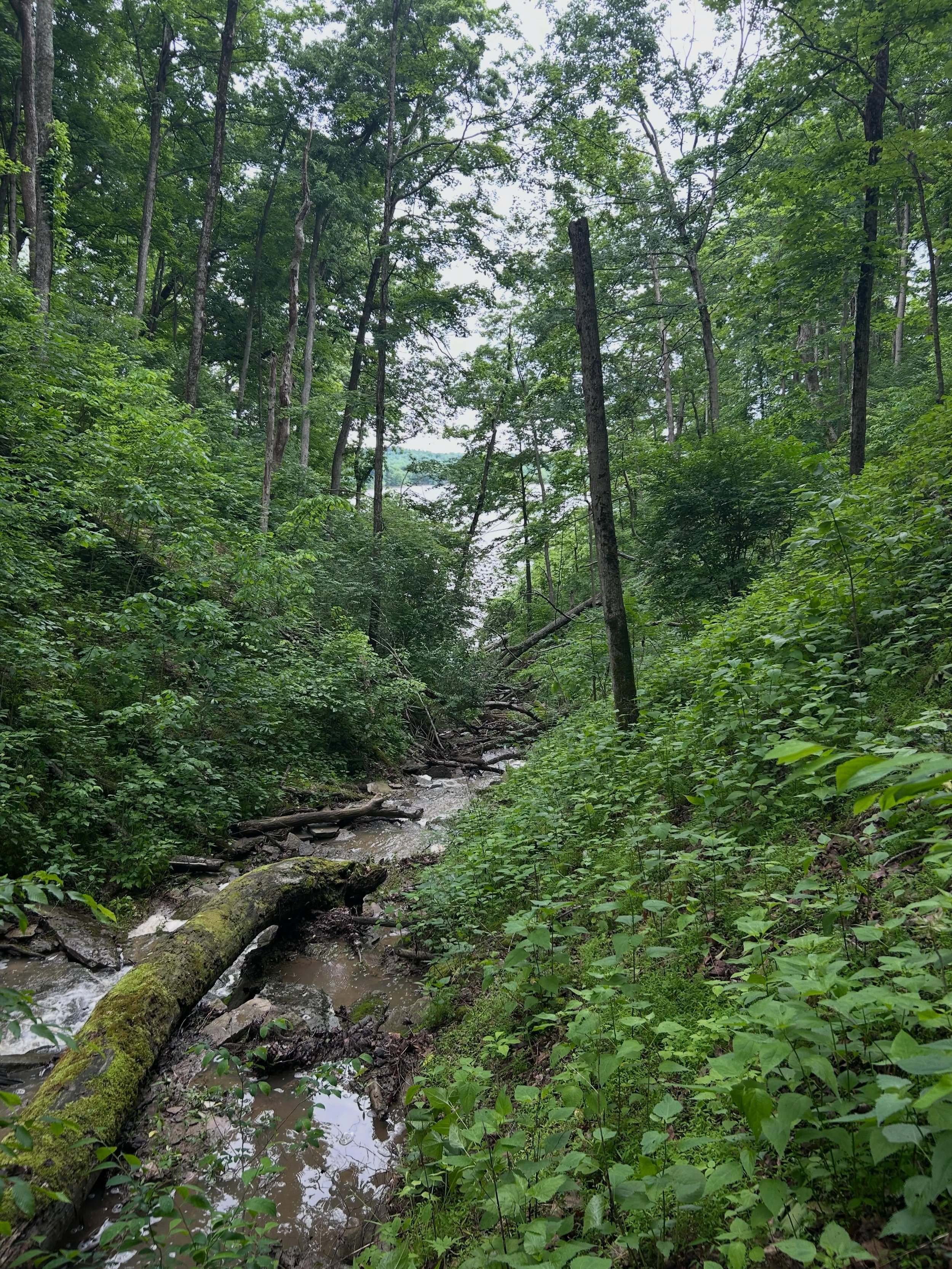 park route 5.jpg