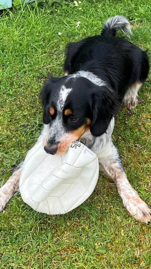 7. Processing My Breast Cancer Treatment Plan