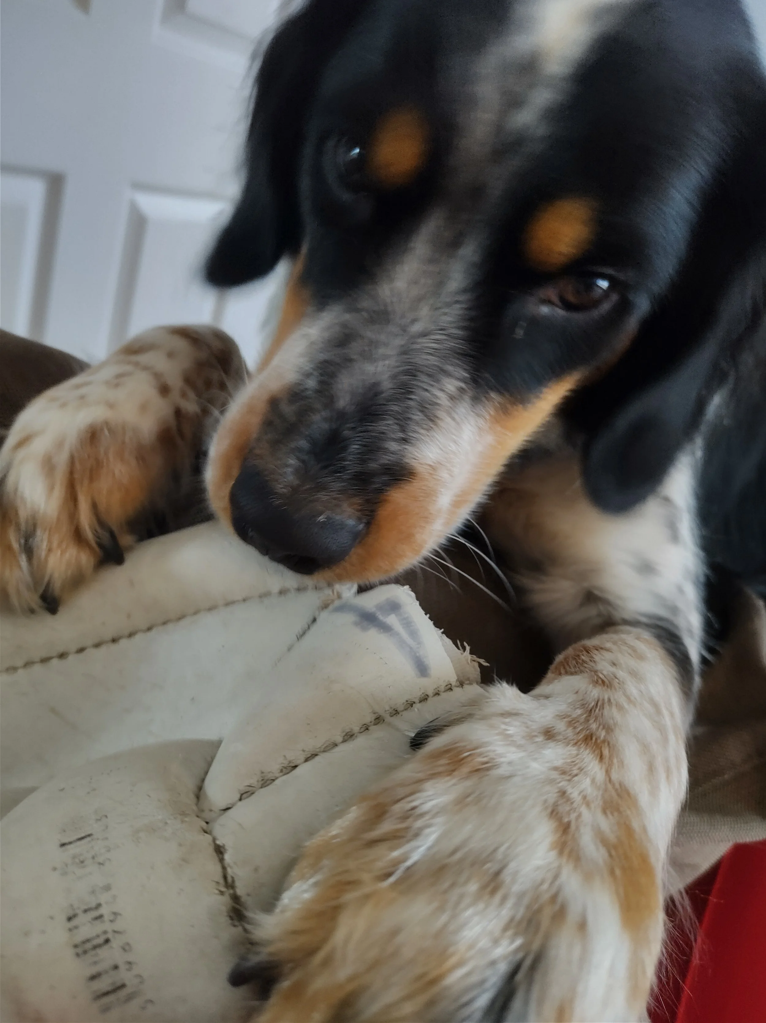 11. The Week After Chemo - What I Wasn’t Prepared For