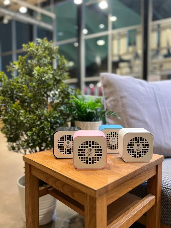 Kangen-Air-Purifier.jpeg
