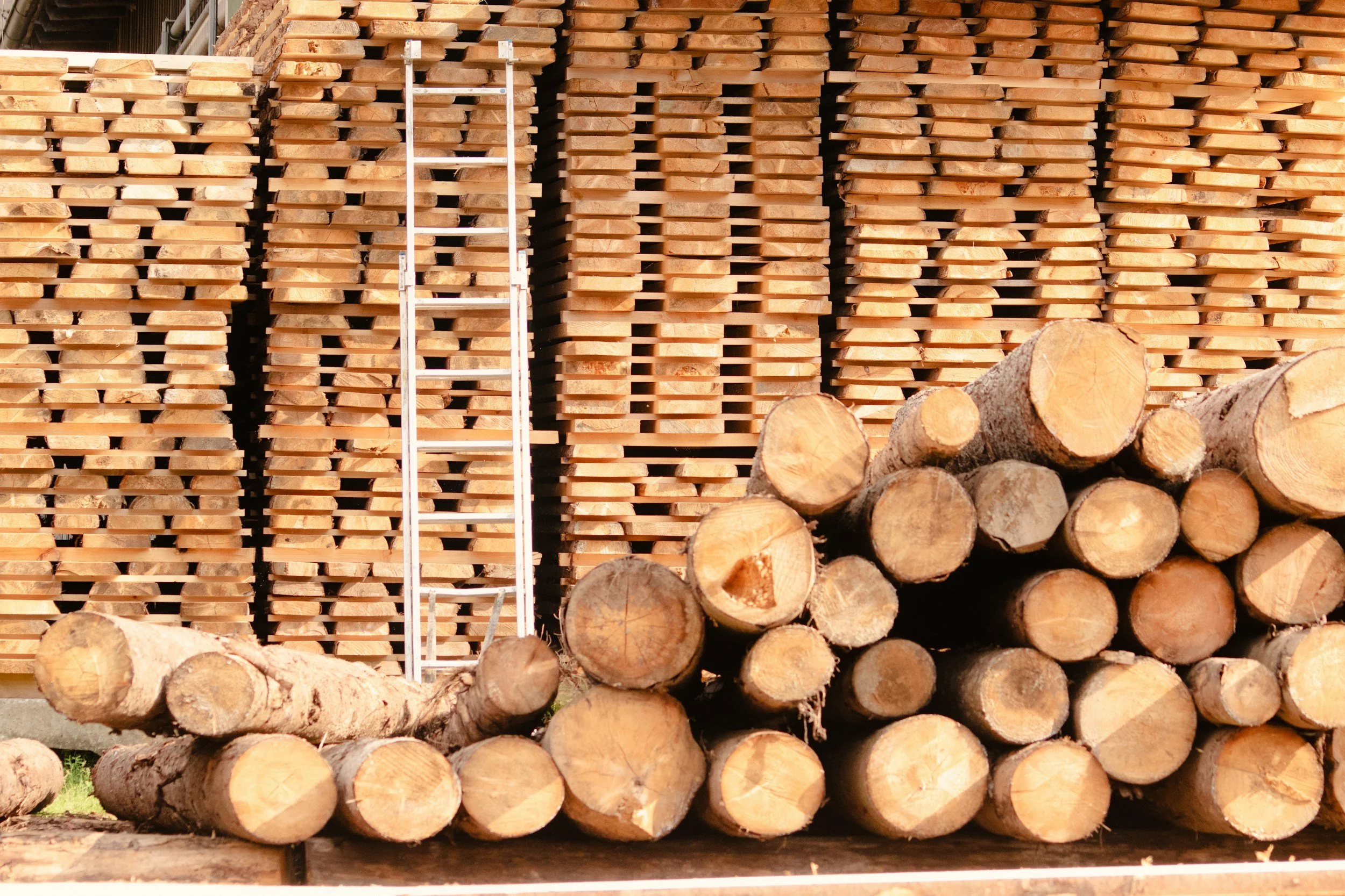 Stacks of cut wood logs and planks, with a metal ladder leaning against the woodpile.