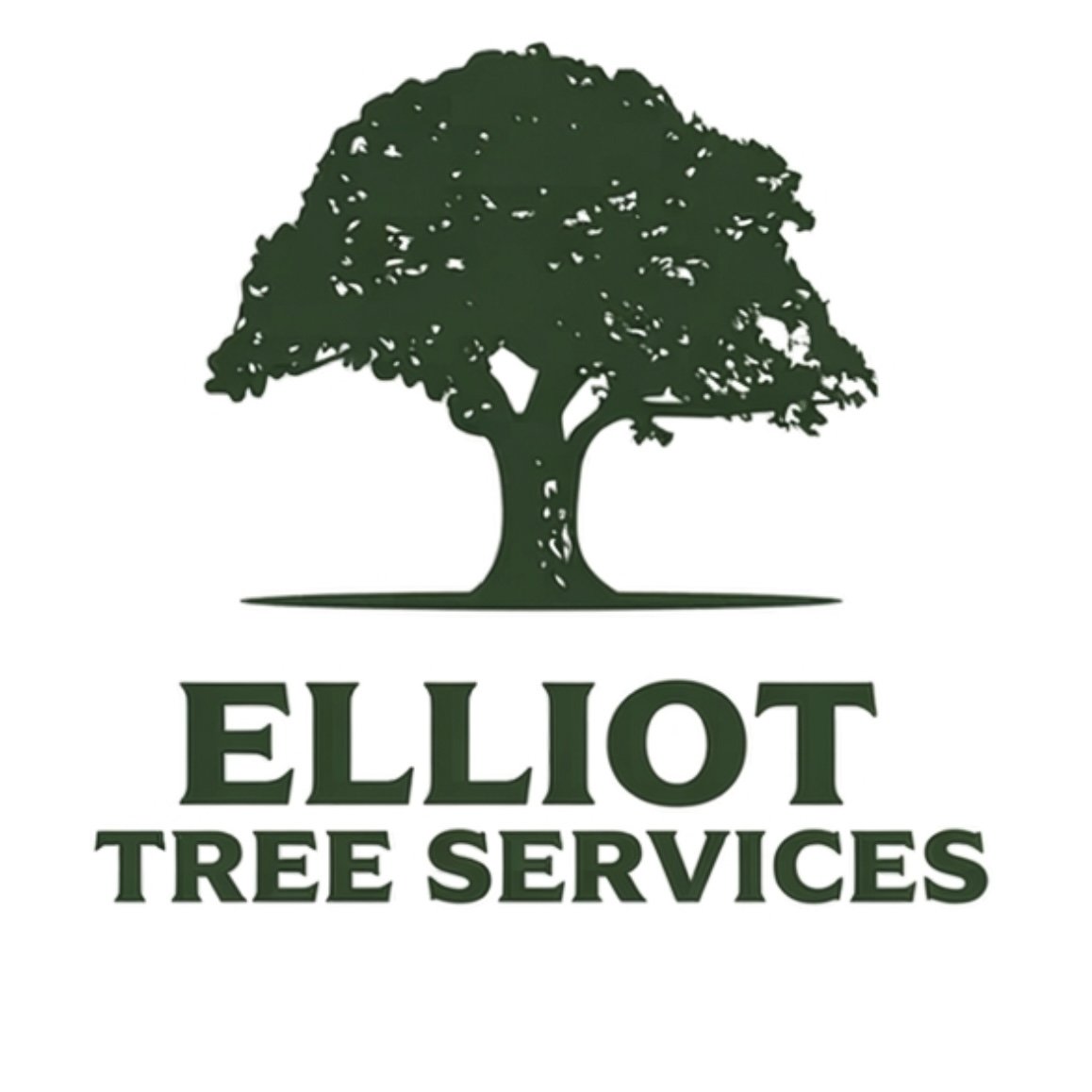 Tree Surgeon Marlow | Maidenhead |Tree Felling | Tree Pruning | Pollarding | Hedge Trimming 