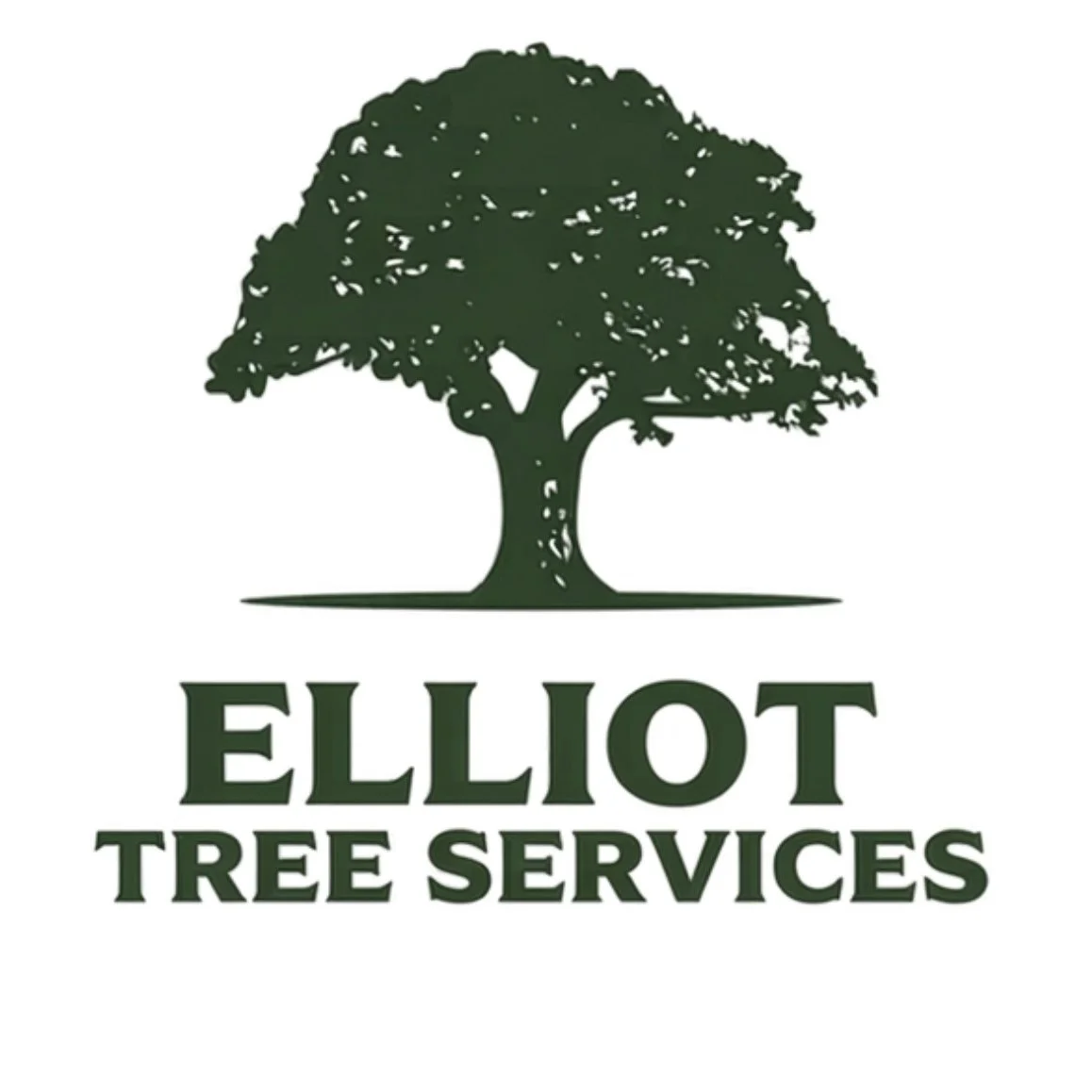 Tree Surgeon Marlow | Maidenhead |Tree Felling | Tree Pruning | Pollarding | Hedge Trimming 