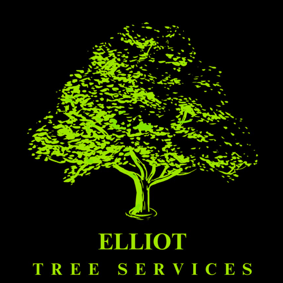 Tree Surgeon Marlow | High Wycombe | Tree Felling | Tree Pruning | Pollarding | Hedge Trimming 