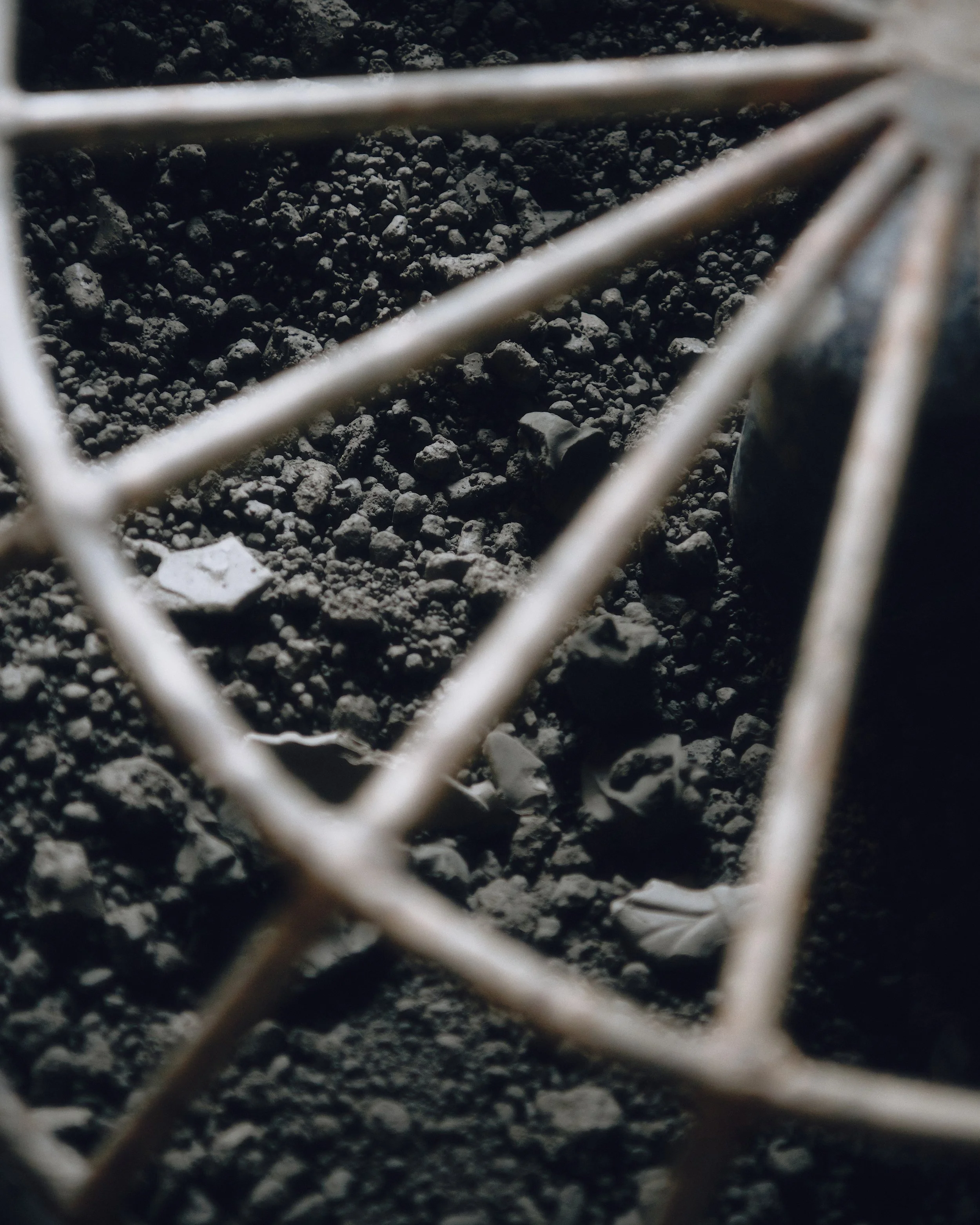 _DSC8882 (1) copy.jpg