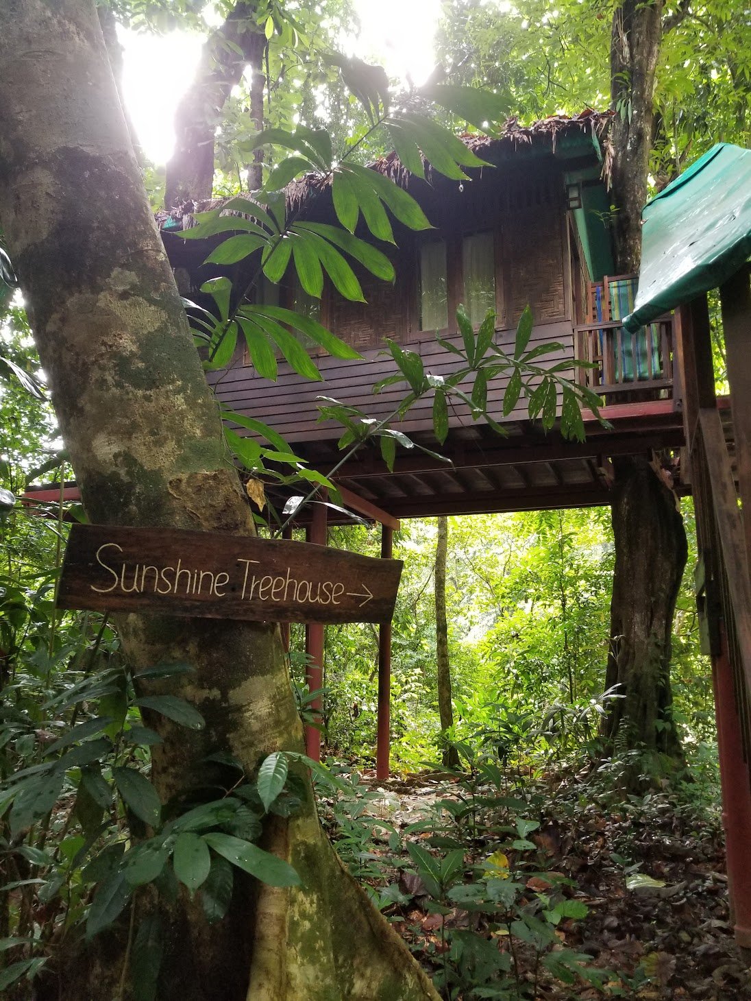 Khao Sok Tree House Resort
