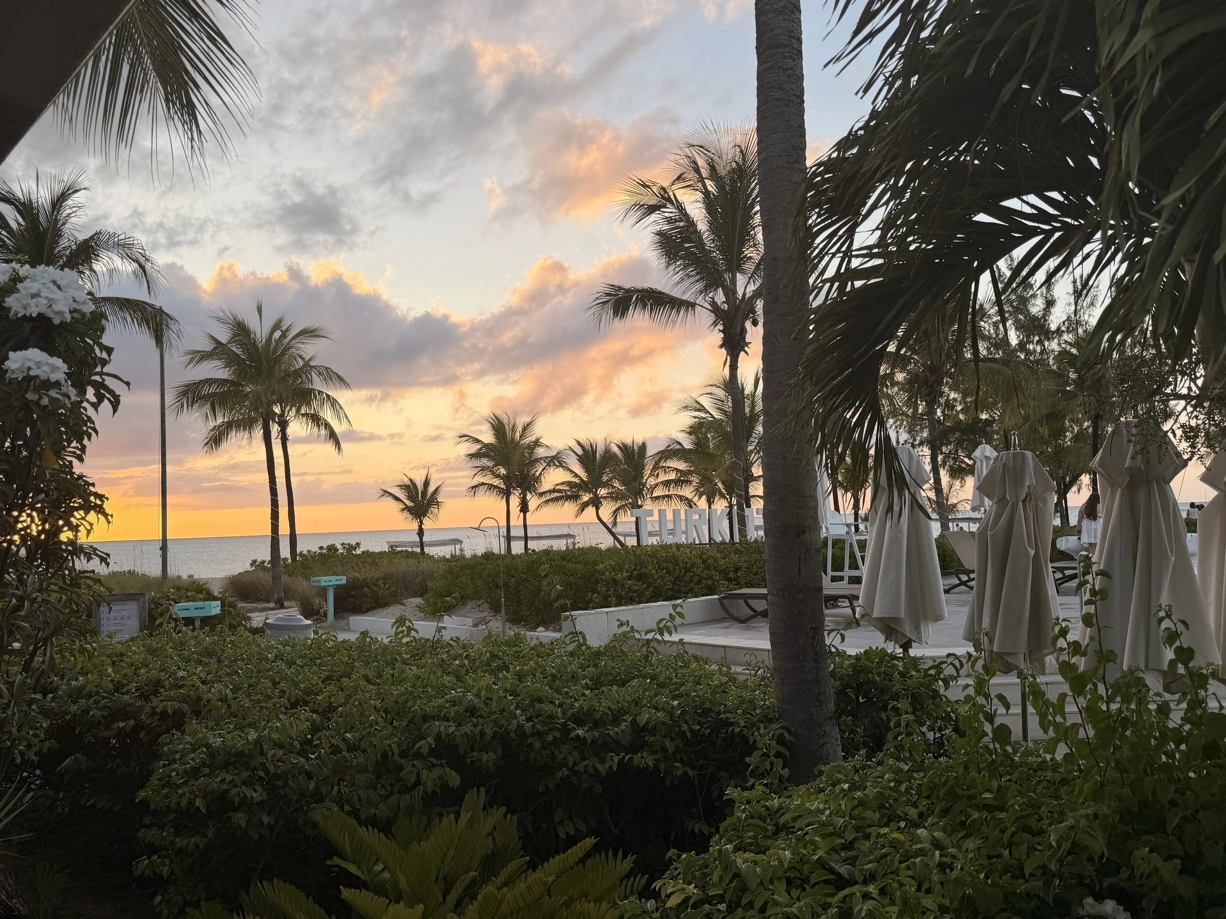 Sunset view with palm trees, cloudy sky, and calm ocean in the background, seen from a terrace with white umbrellas and greenery in the foreground.