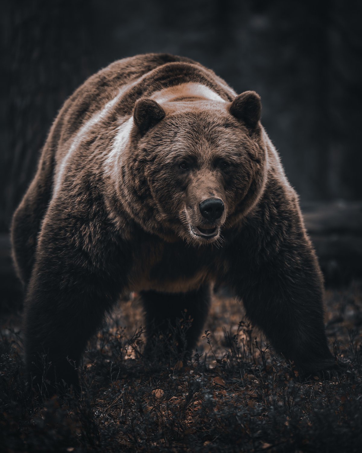 Netti- DSC08174-Enhanced-NR (2).jpg