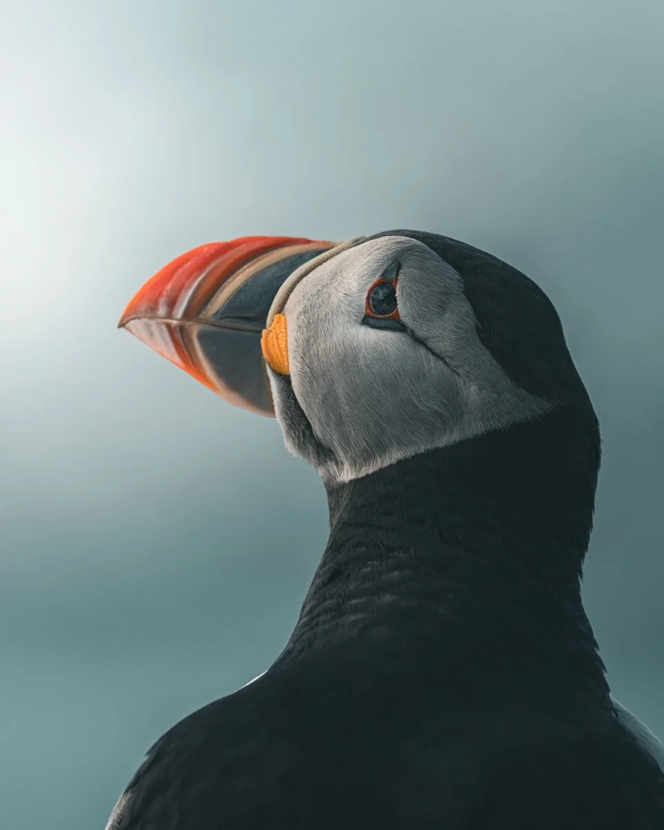 Tunnelmakuva lunnista.