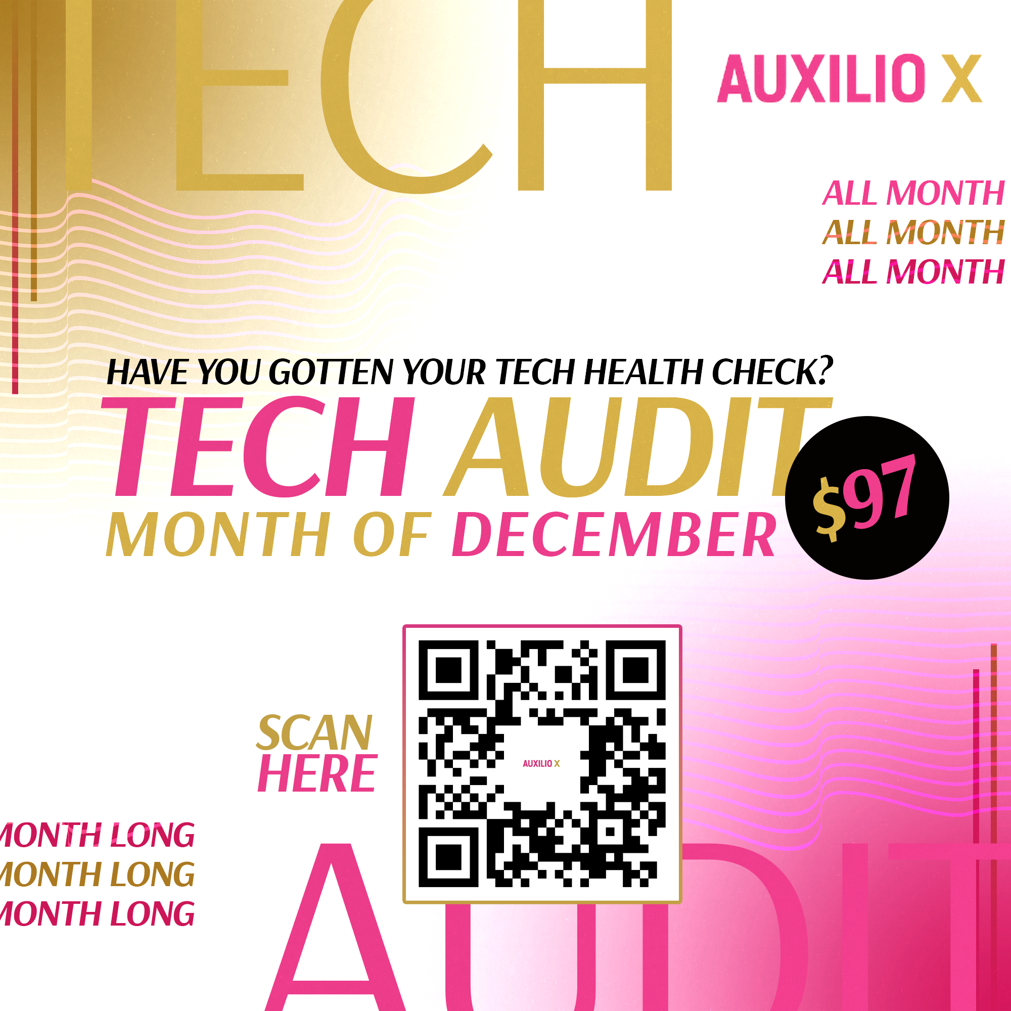 AUXILLO X TECH AUDIT.png
