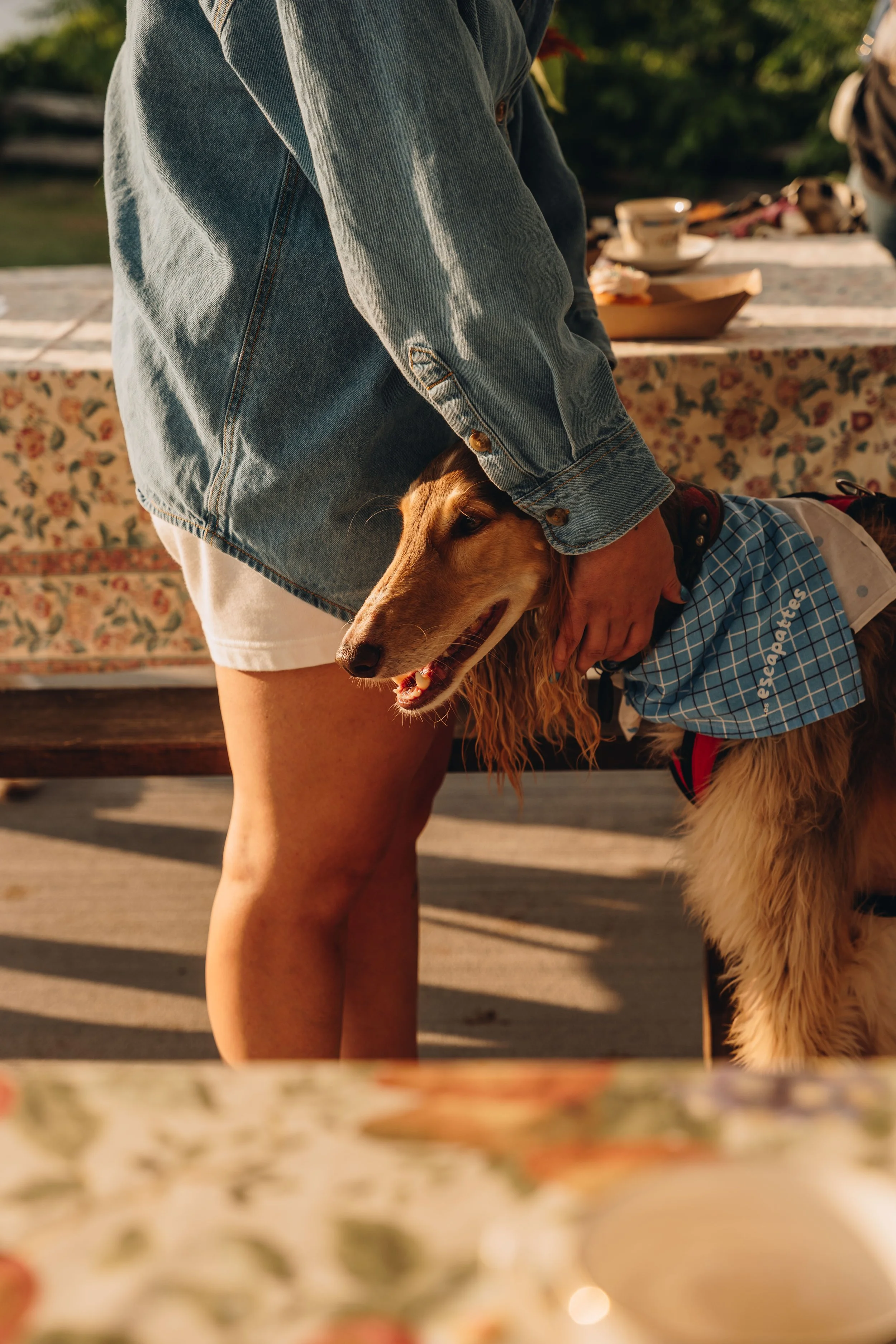 escapattebouquet_biscuitonvasepromener110.jpg