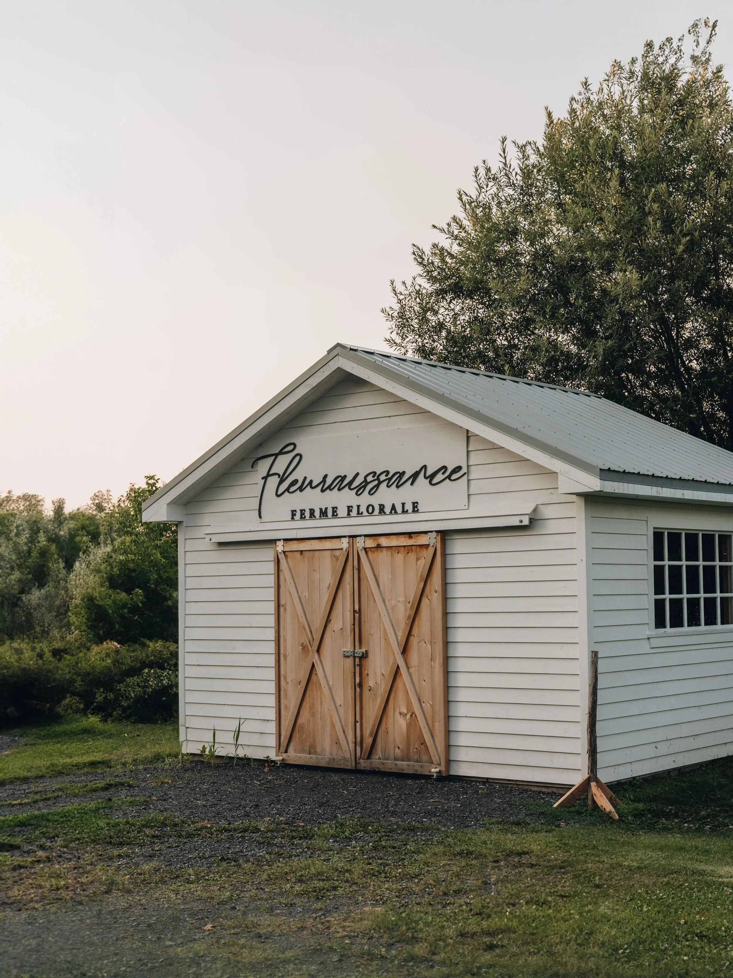 fleuraissance+ferme+florale+chien+onvasepromener+%284%29.jpg
