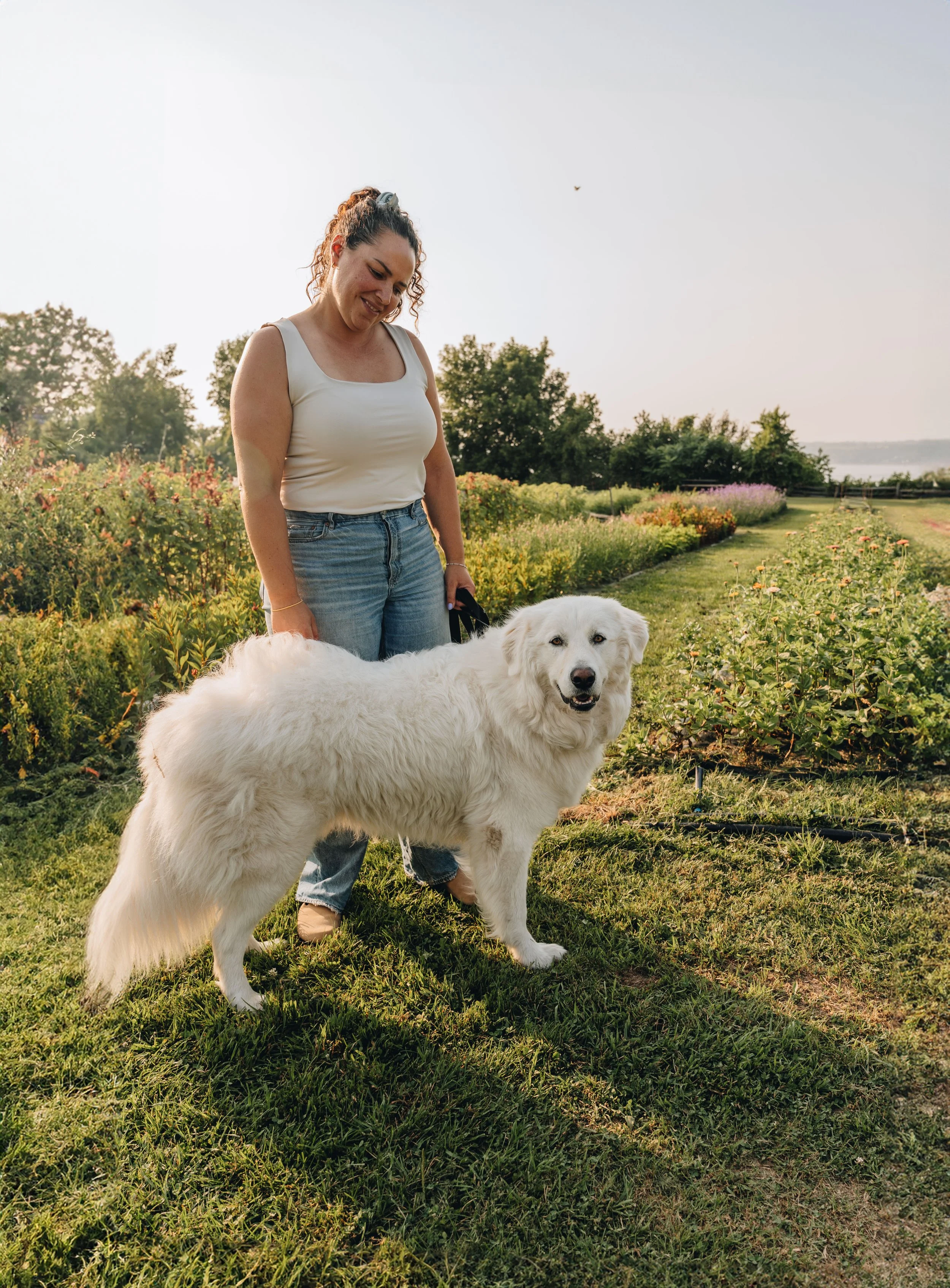 fleuraissance ferme florale chien onvasepromener (13).jpg
