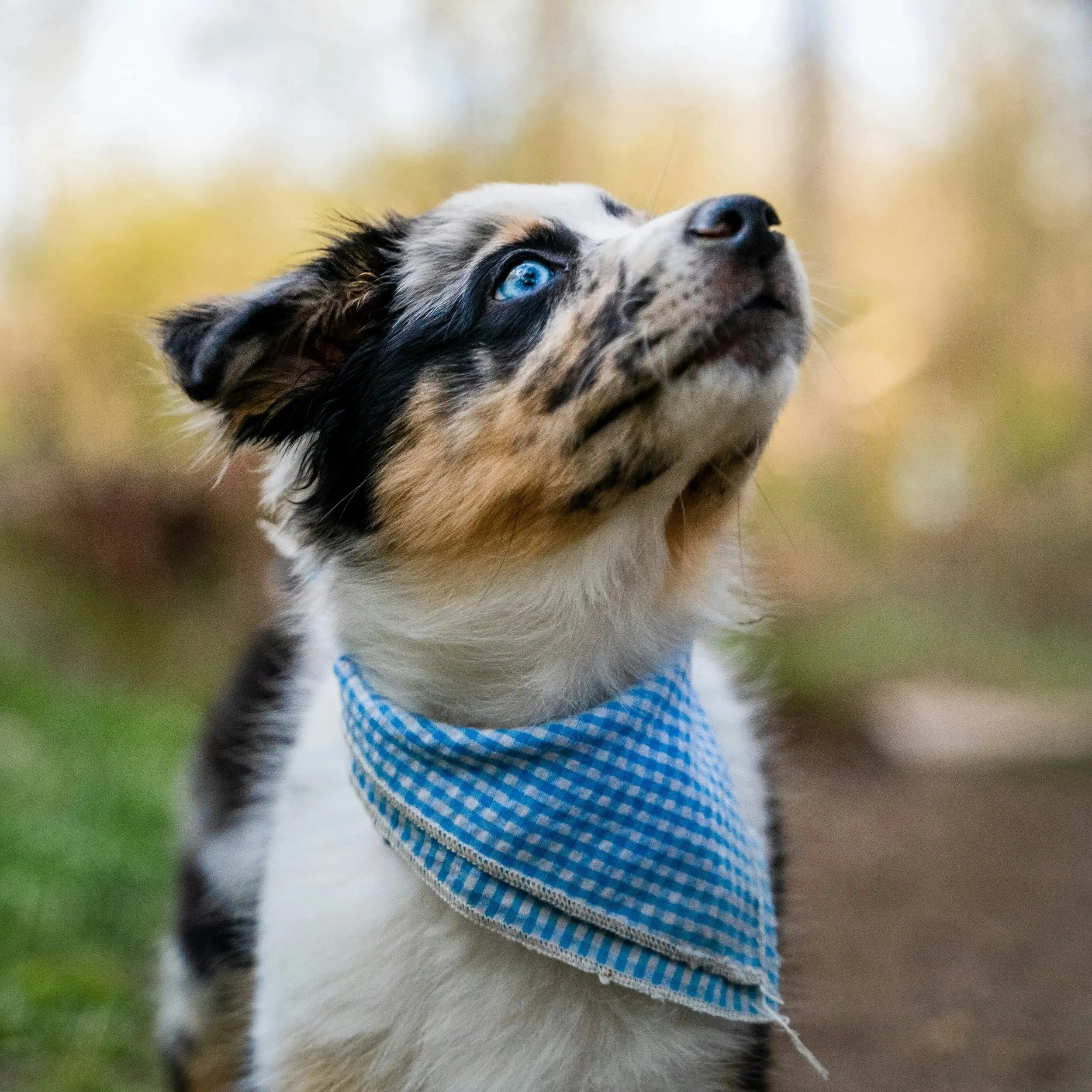 La signification des bandanas Les Escapattes