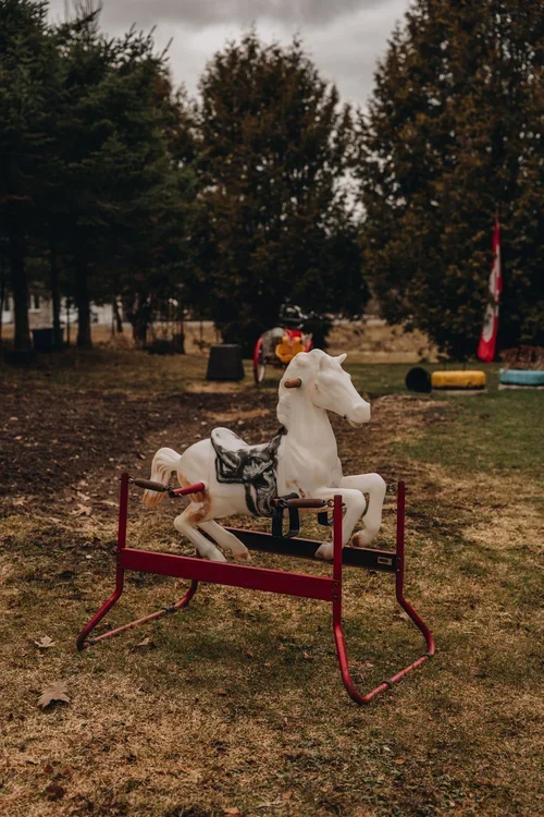 Arbolandia+nuestra+tierra_chien_onvasepromener+(13).webp