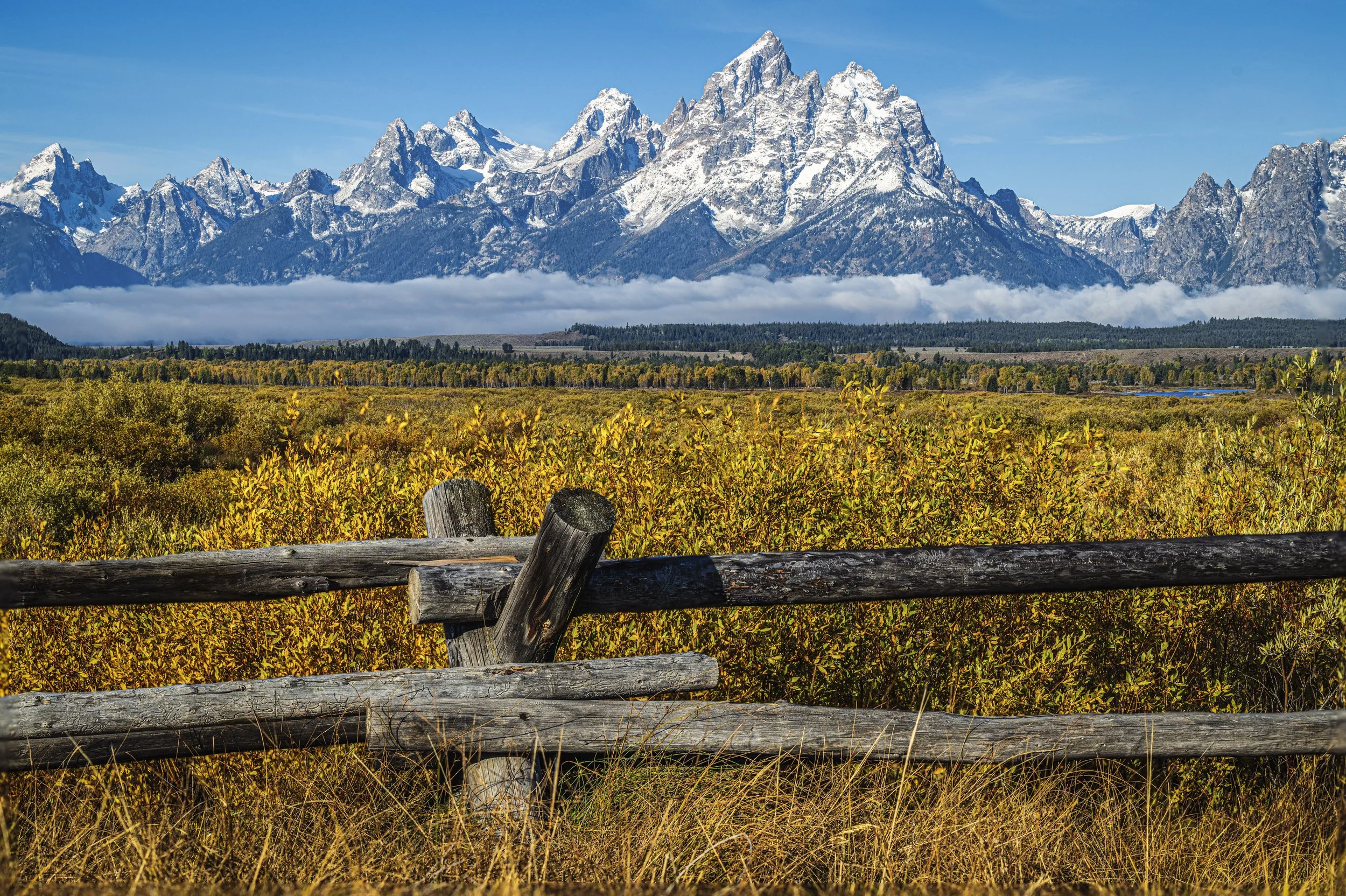 Teton Fence