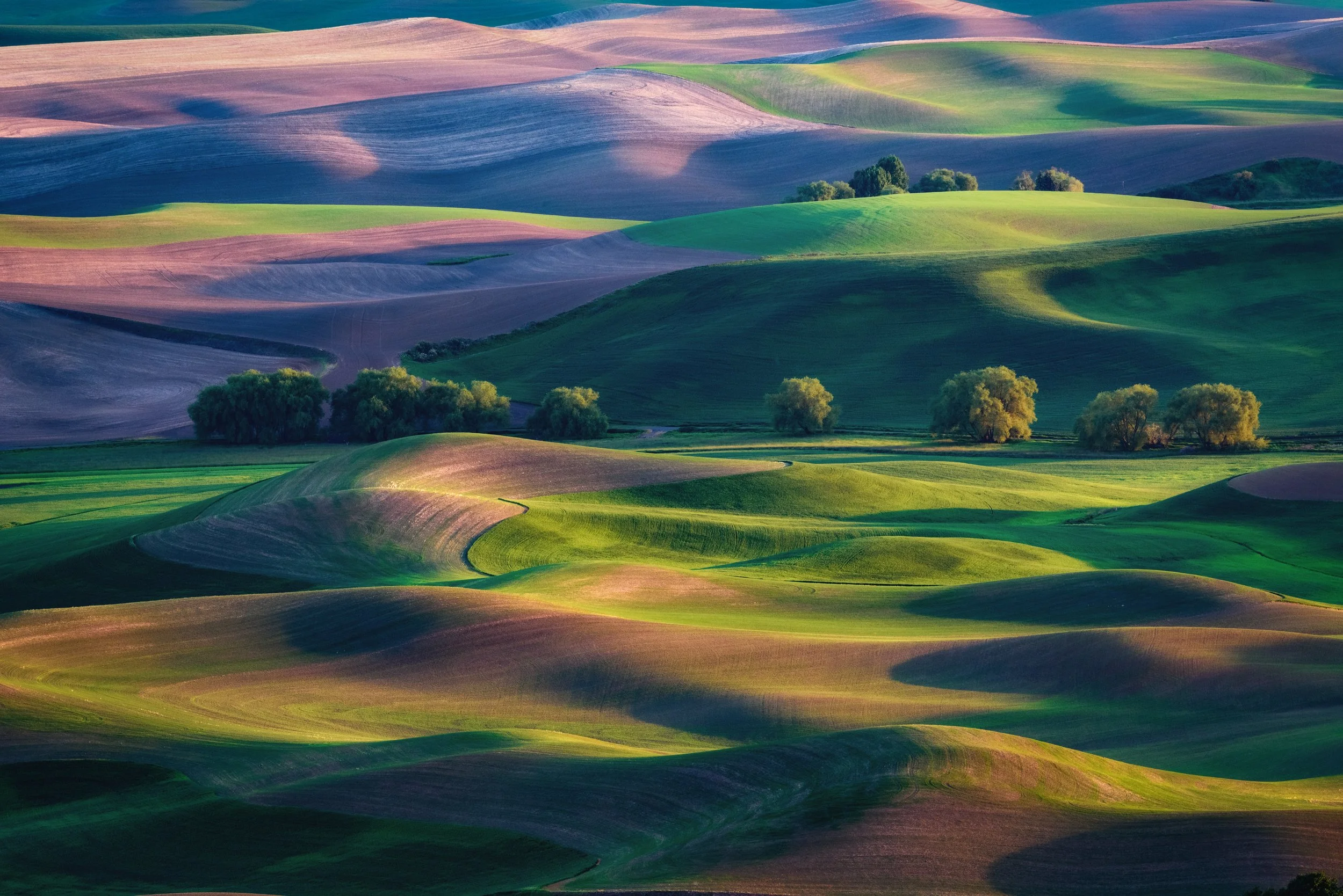 Palouse Pastels