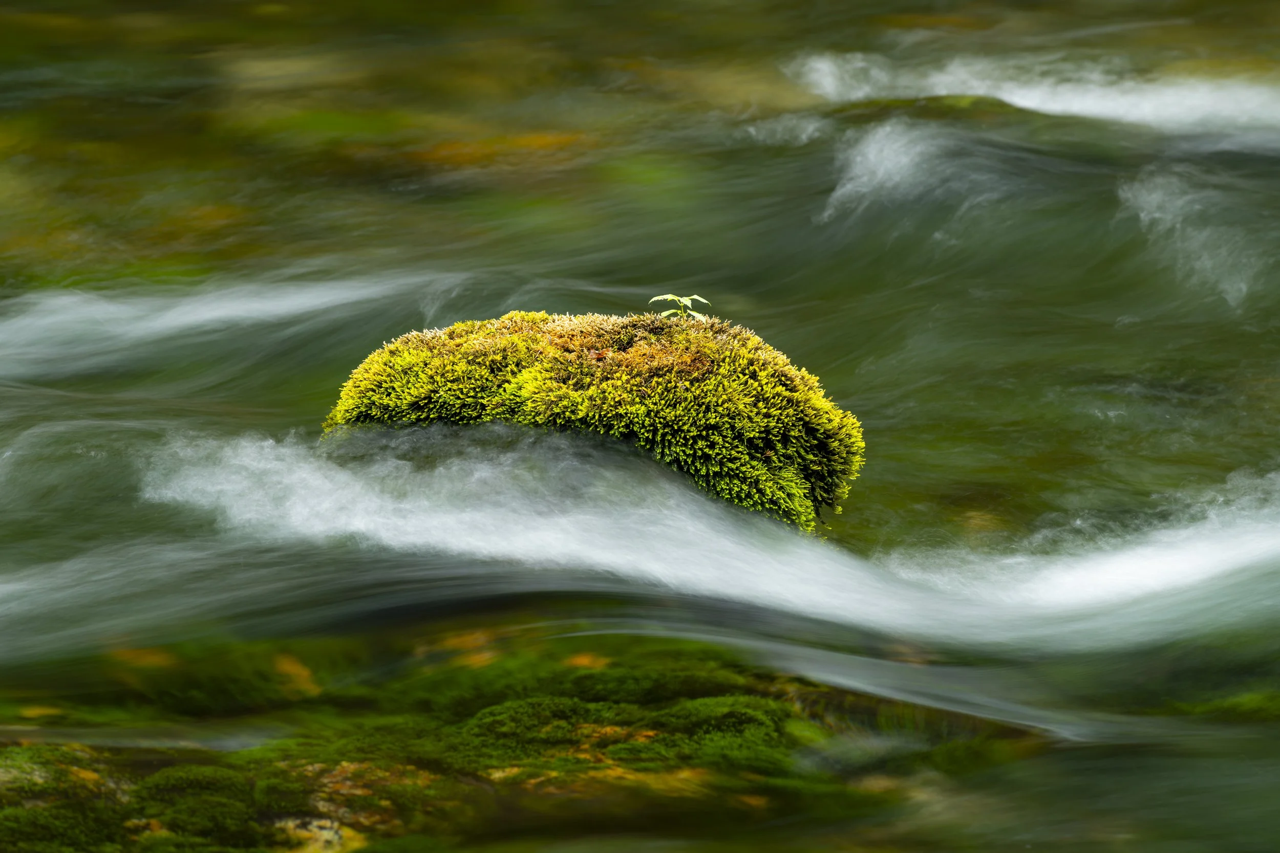 Island in the Stream