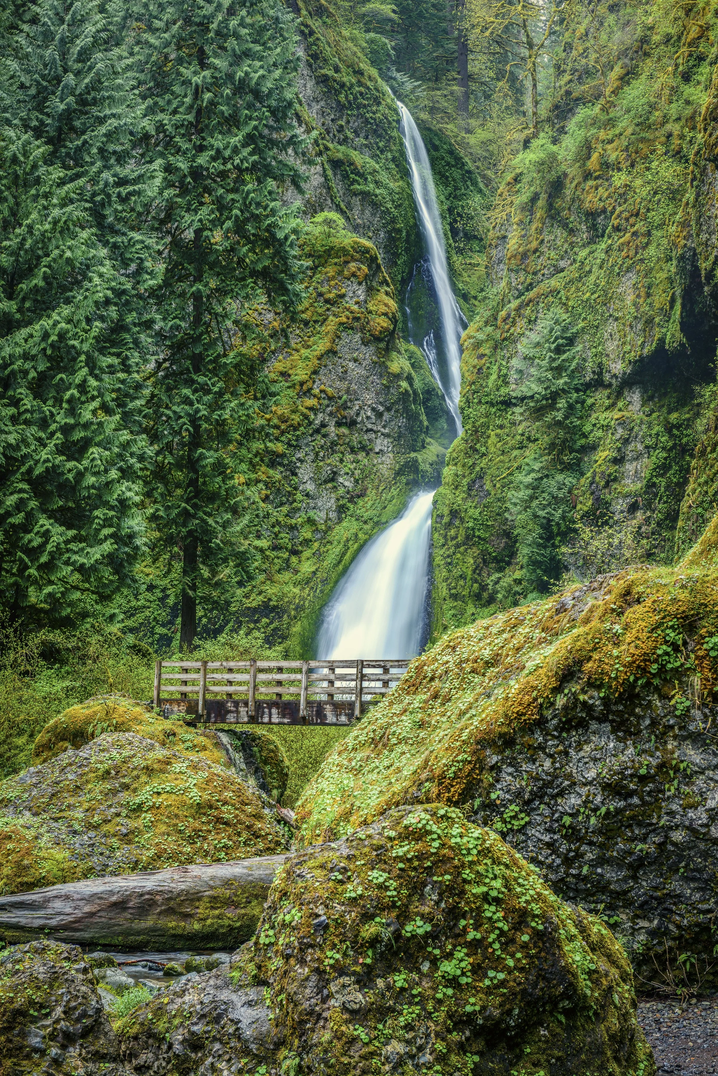 Wahclella Falls