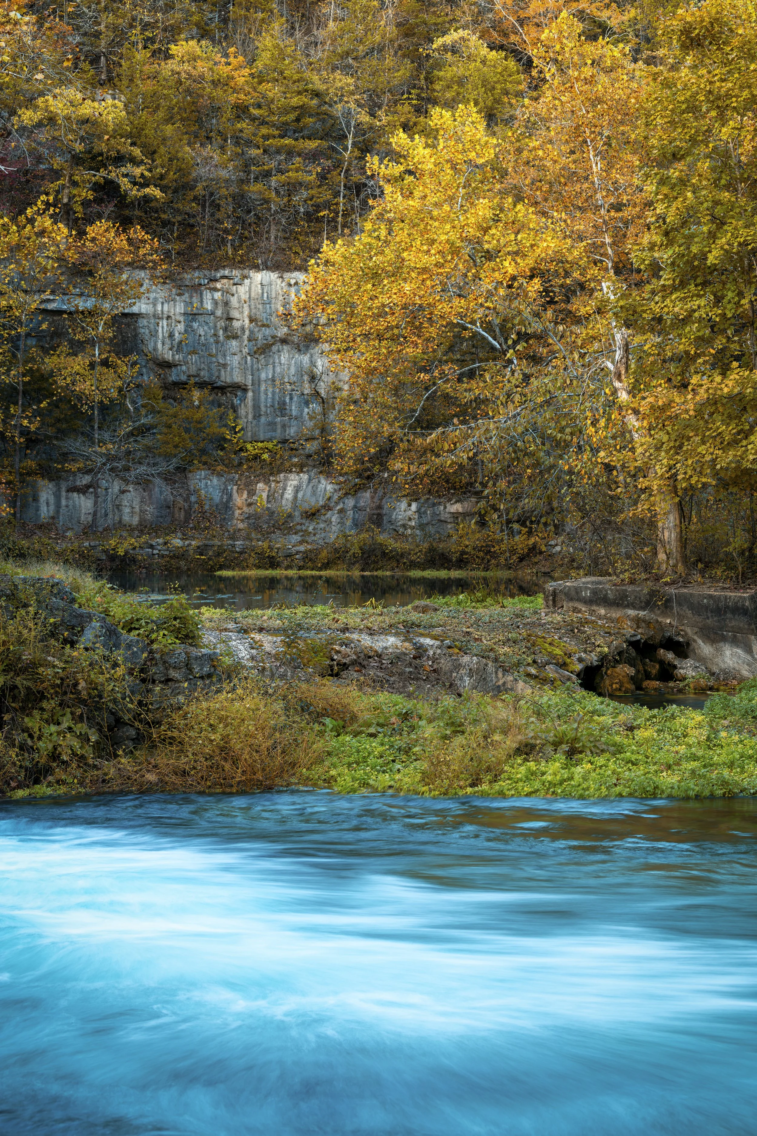 Colors of Autumn
