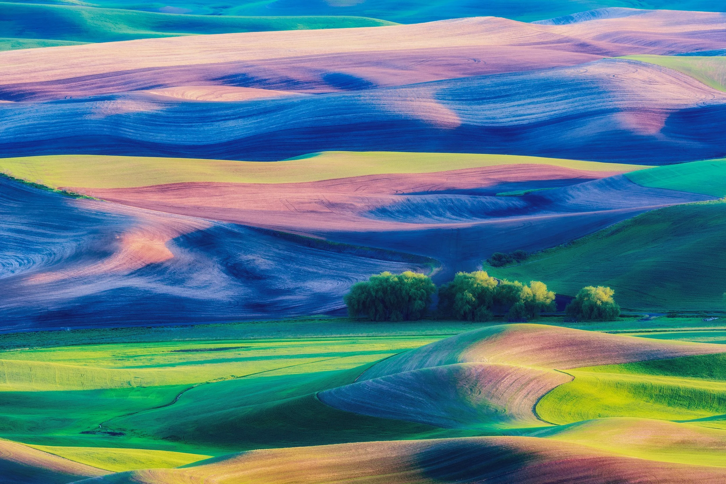 Fields of Palouse