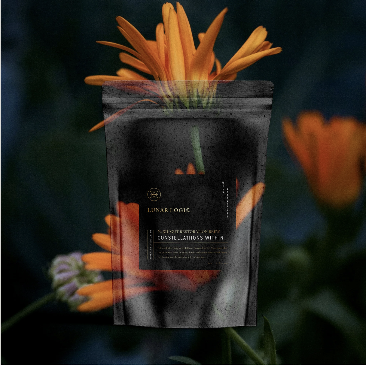 Screenshot 2025-12-06 at 9.15.38 PM.png