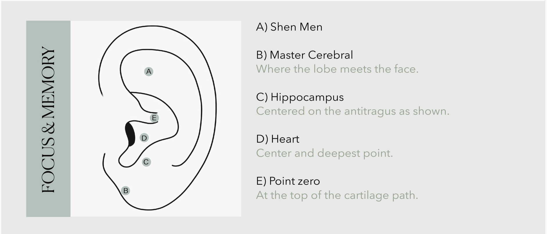 Screenshot 2025-07-06 at 11.53.38 AM.png