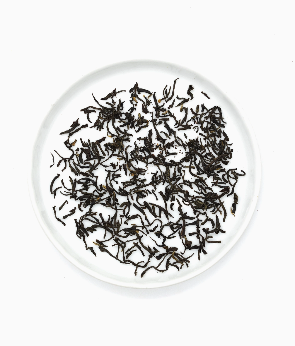 Screenshot 2026-02-09 at 6.23.32 PM.png