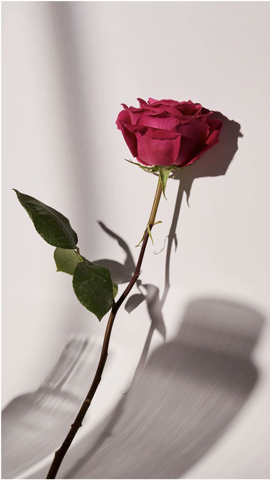 Screenshot 2025-12-13 at 10.35.45 AM.png