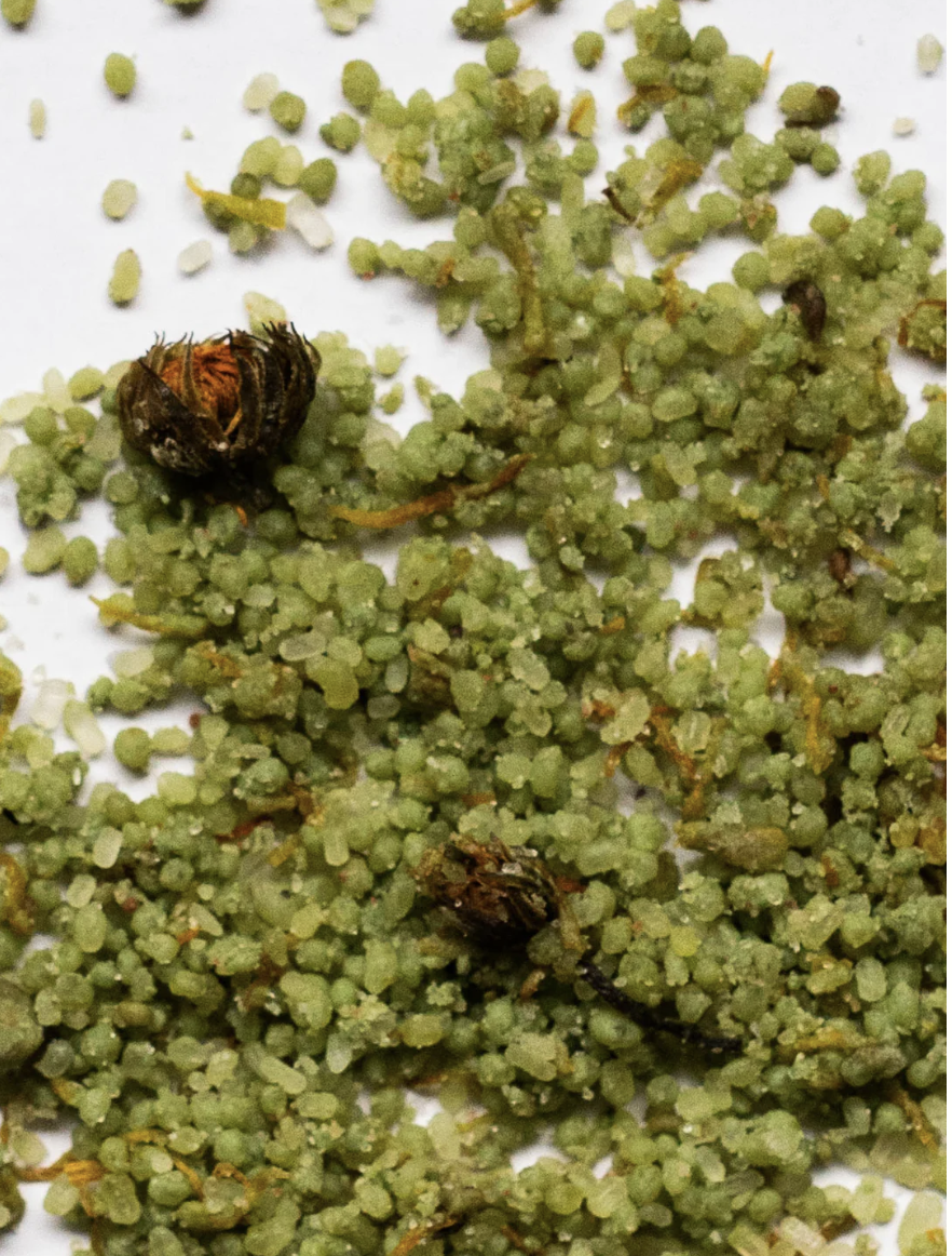 Screenshot 2026-04-26 at 4.23.13 PM.png