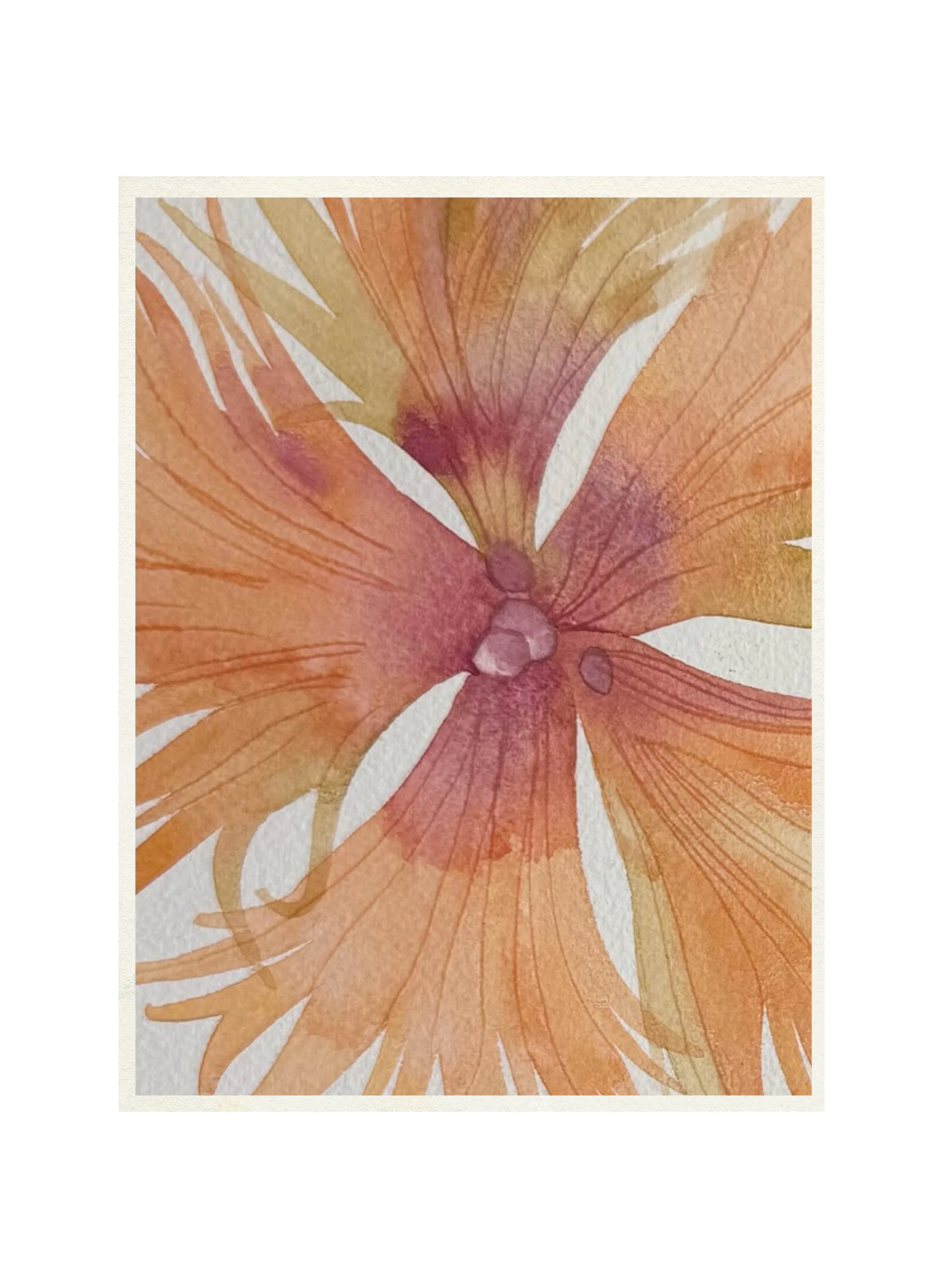 MAGNIFY 4.11 IG POST2.jpg