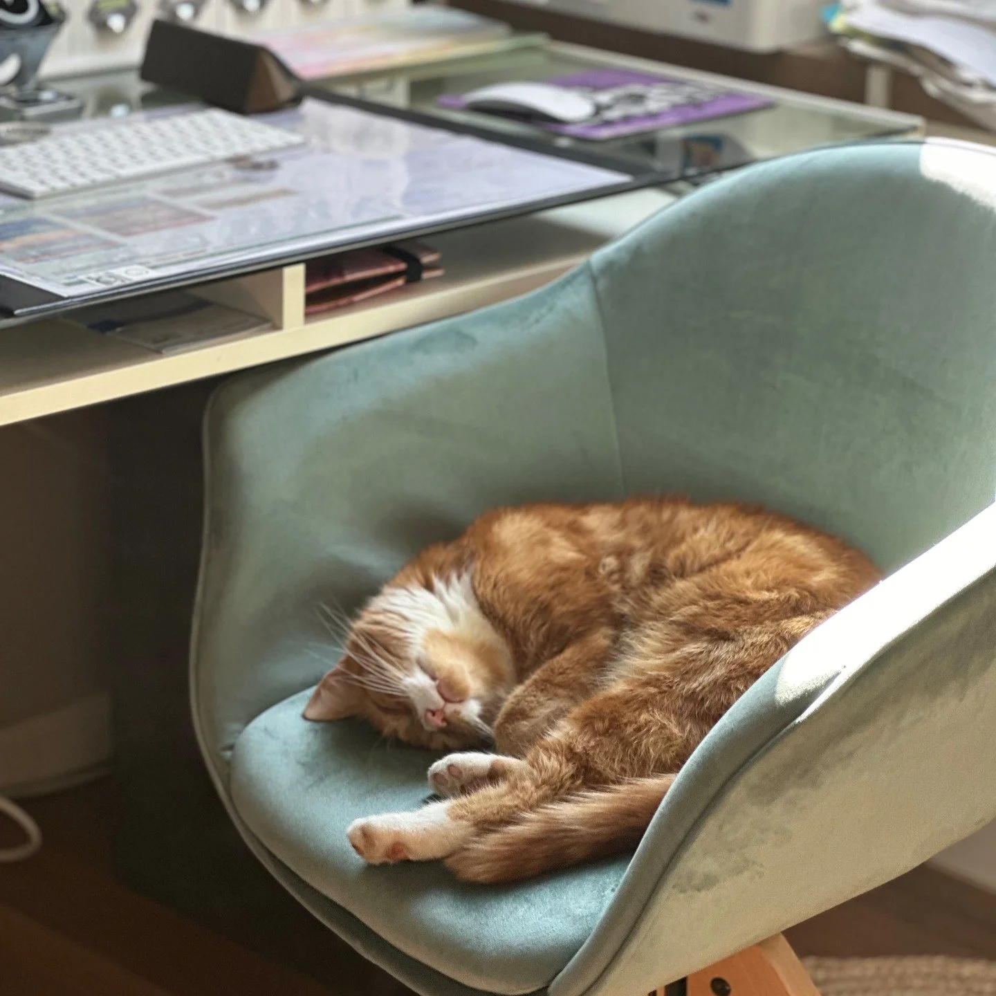 Ich wollte heute eigentlich einen dieser smart inspirierten Posts schreiben. Mit Funkenflug, Aha und Glitzer f&uuml;rs Gehirn. 

Gewartet.
Gelauscht.
Ergebnis: v&ouml;llige Funkstille. 
Meine Muse hat sich ins Yoga Nidra gelegt und reagiert nicht mal