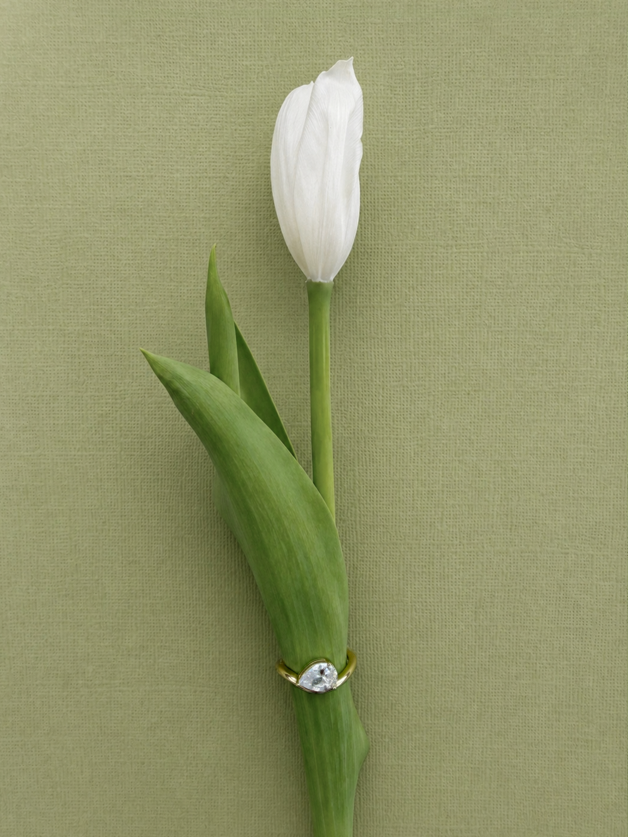 Portrait - Flower.png