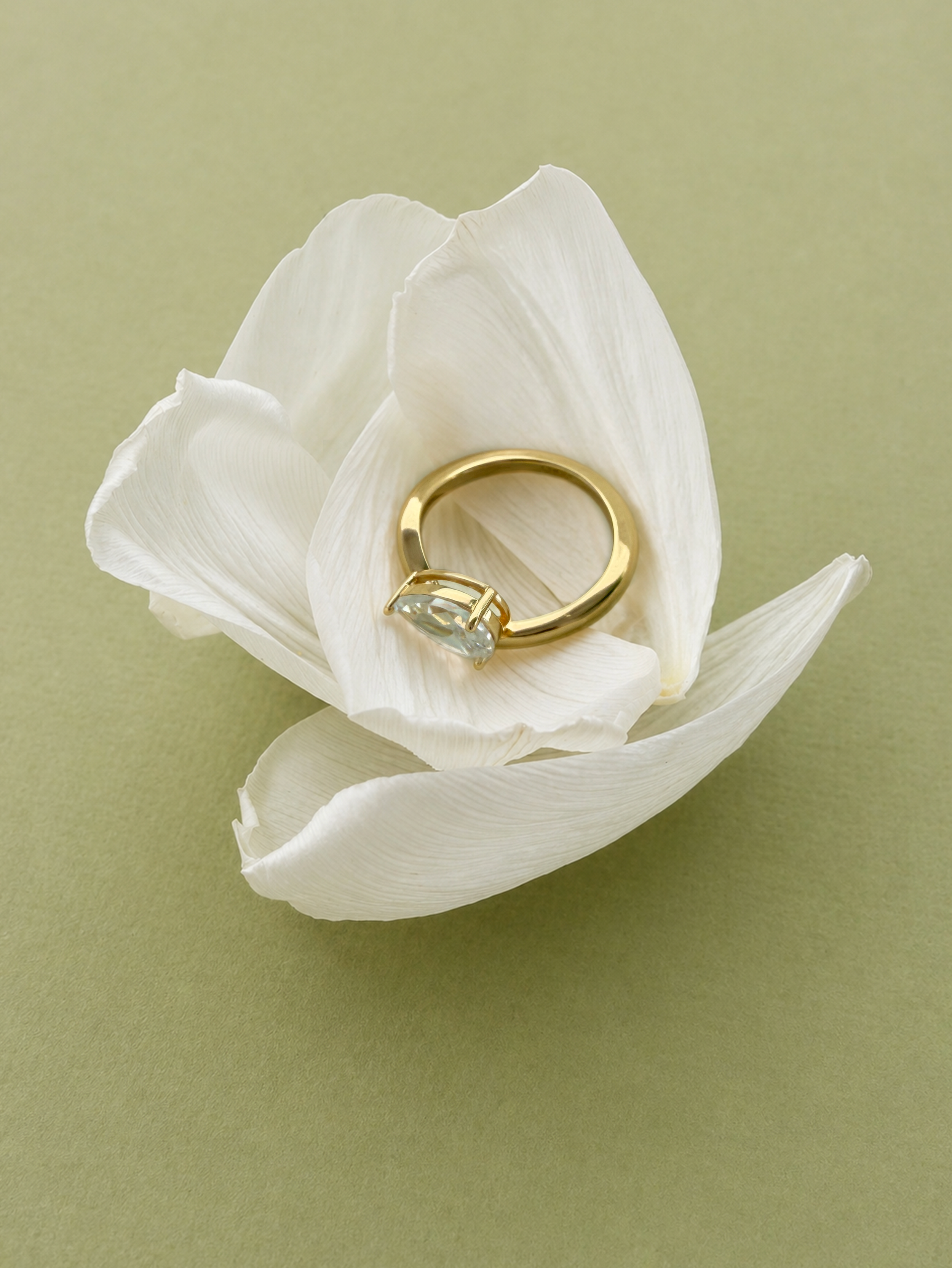 Portrait - Petals Ring.png
