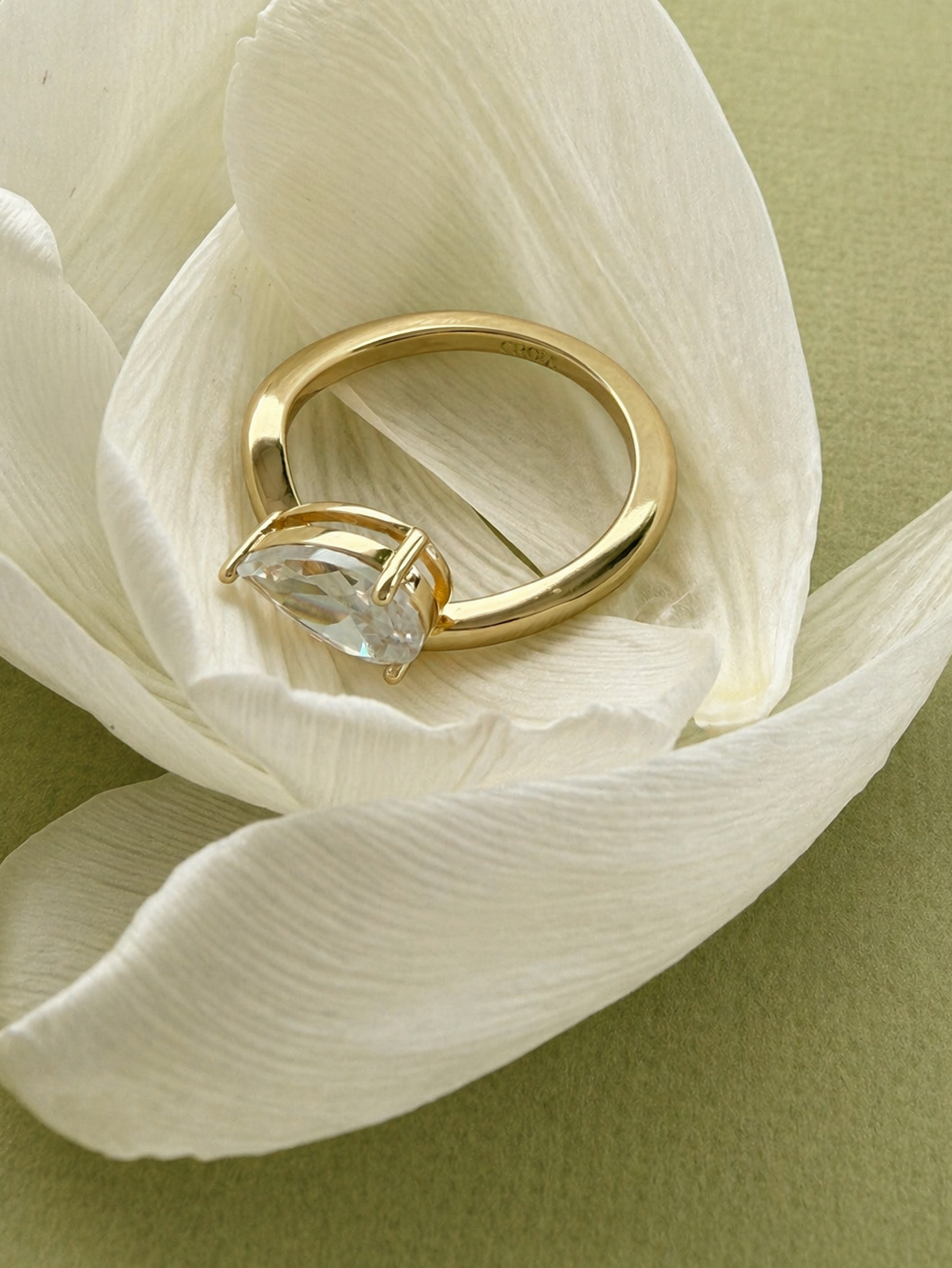 Portrait - Petal Close Up.png