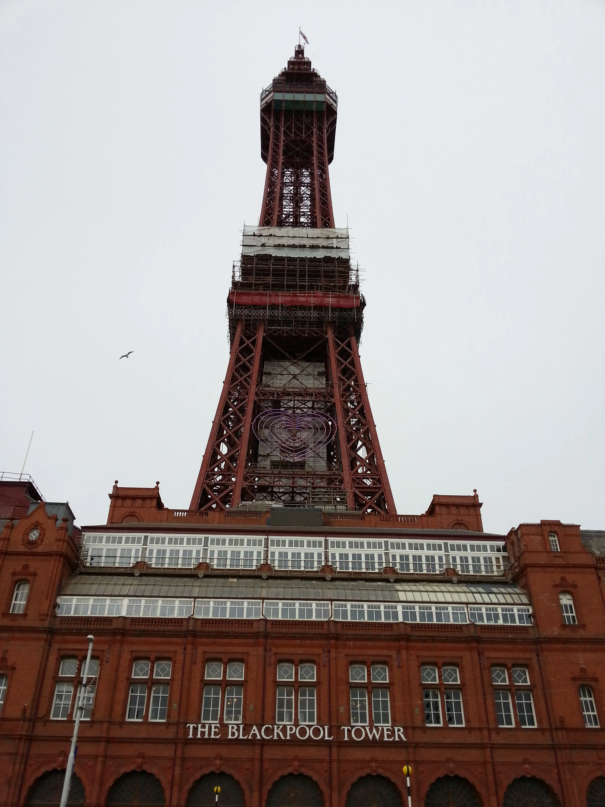 20150425_171700.jpg