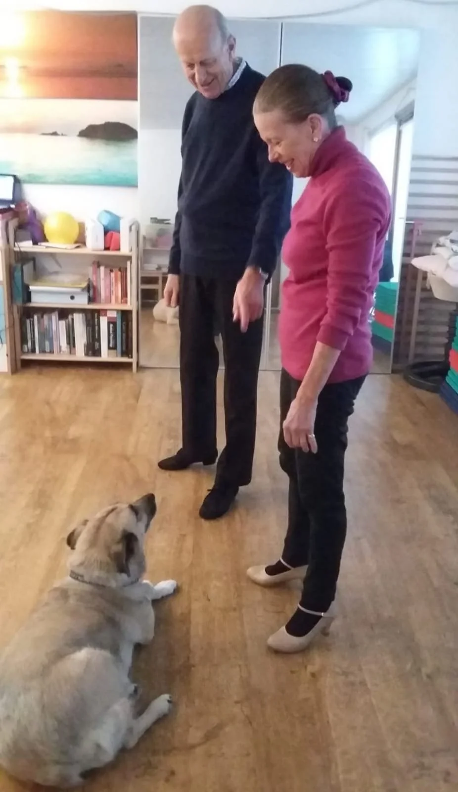 WhatsApp Image 2026-01-17 at 23.31.33.jpeg