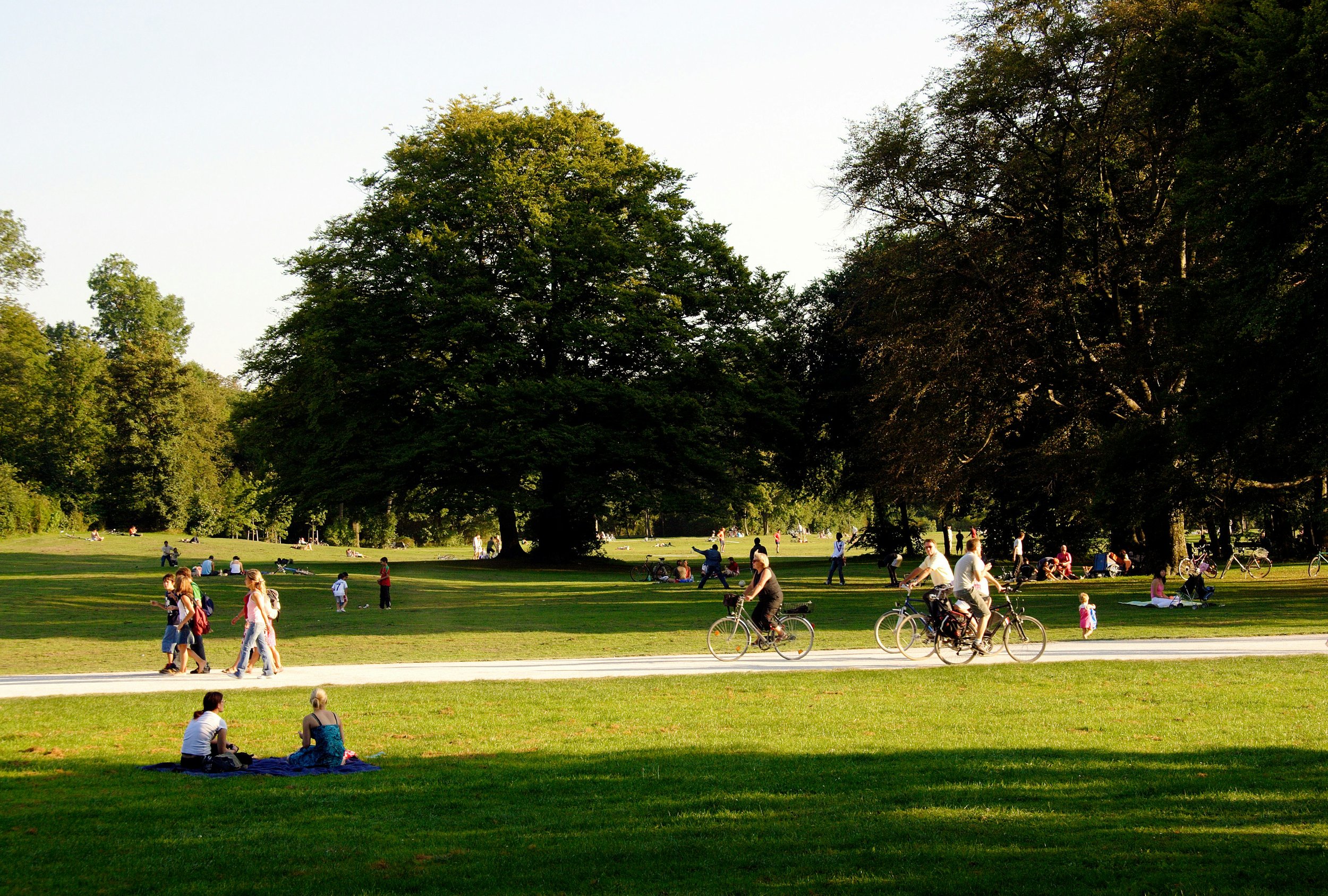 Why Place Identity Matters in Regeneration Projects: Lessons for Councils and Developers