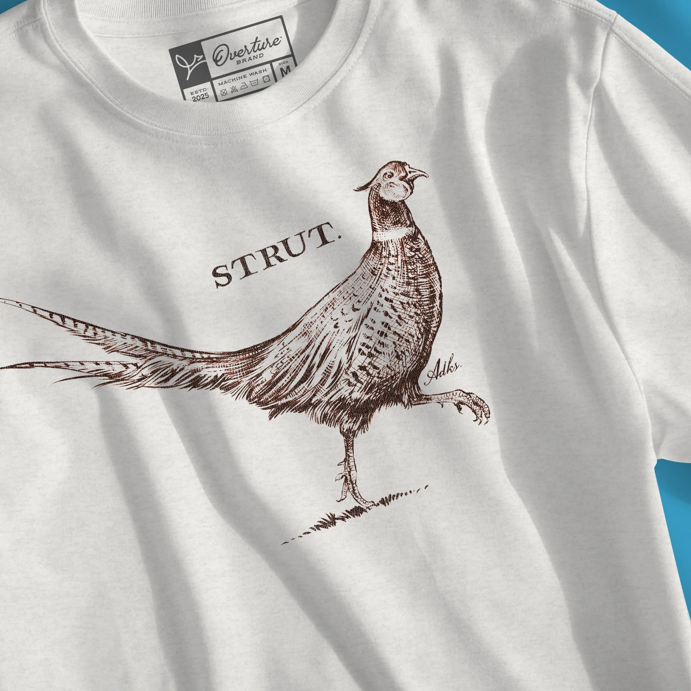 Strut_Mockup_Detail.jpg