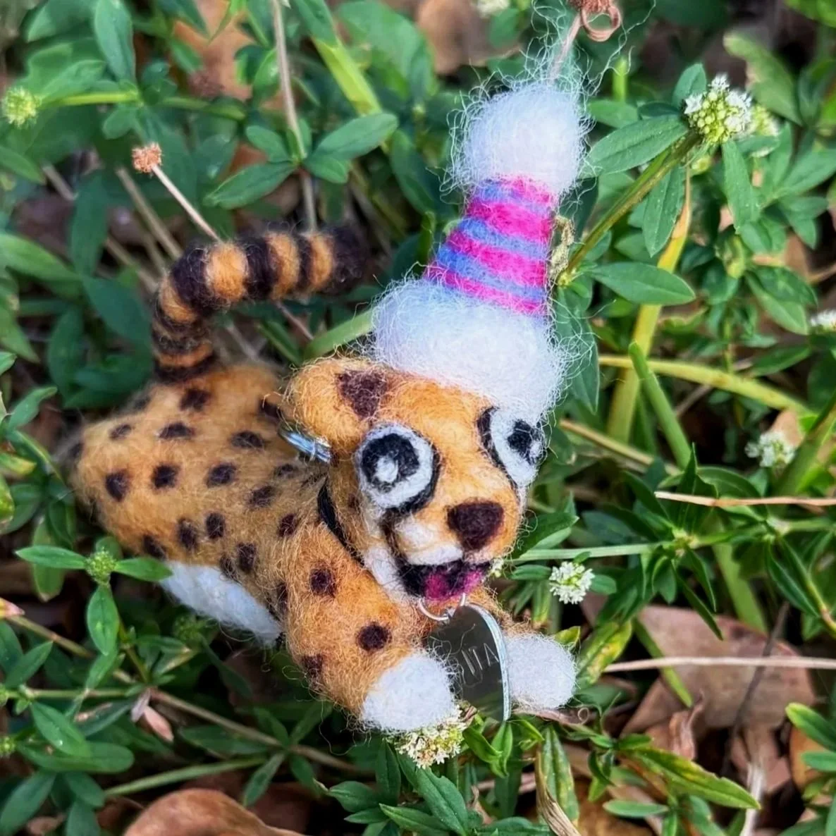 Rita the Cheetah.jpg